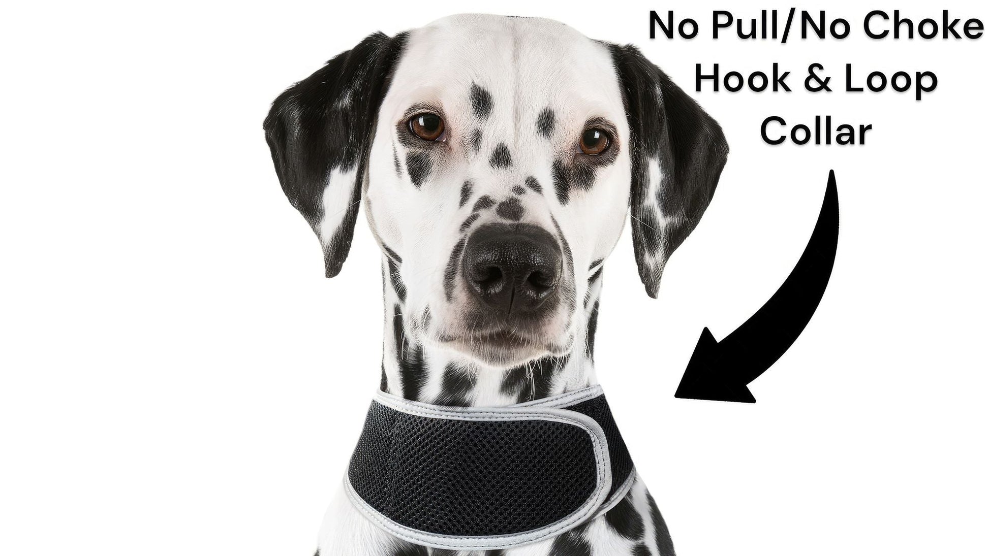 Keep Pet Safe with Pet Tracker GPS Dog Collar Tracking Device + Phone App Size:M