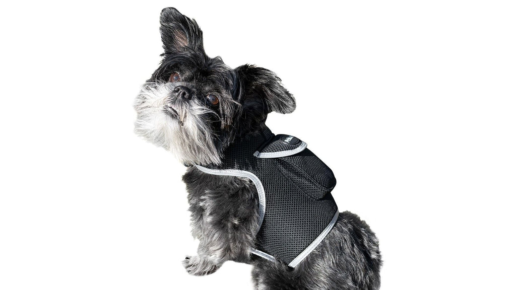 Pet Realtime Surveillance w/ Pet Tracker GPS Tracking Chip for Dogs + App Size:M