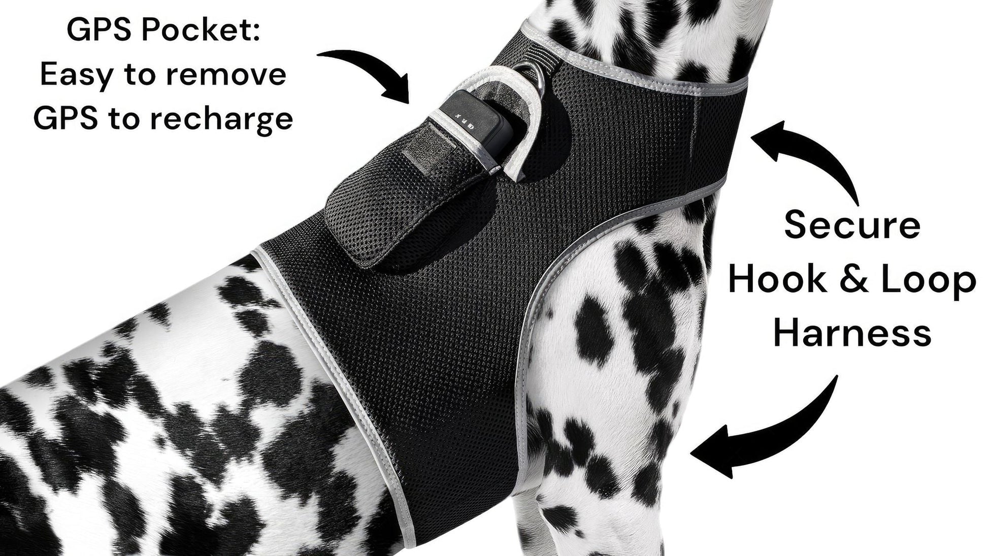 Keep Pet Safe with Pet Tracker GPS Dog Collar Tracking Device + Phone App Size:M