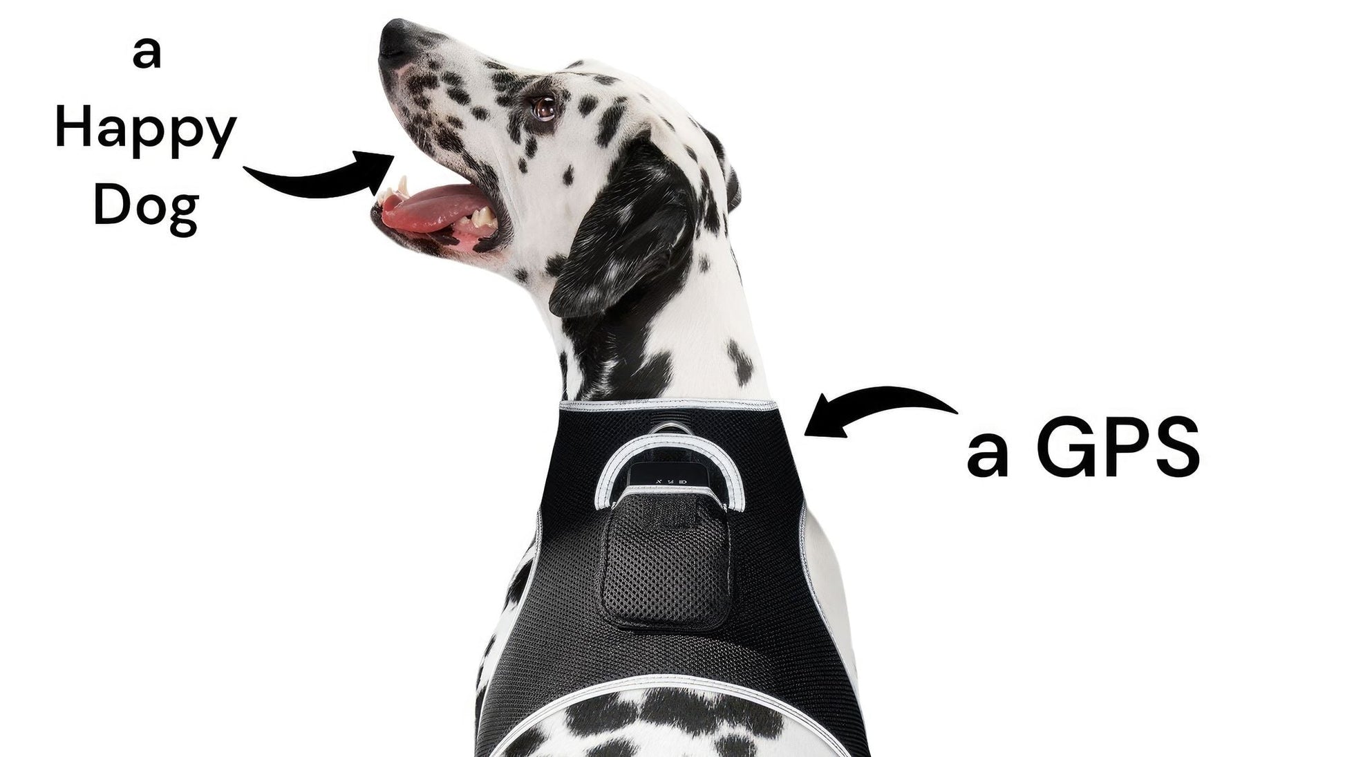 Pet Realtime Surveillance w/ Pet Tracker GPS Tracking Chip for Dogs + App Size:M