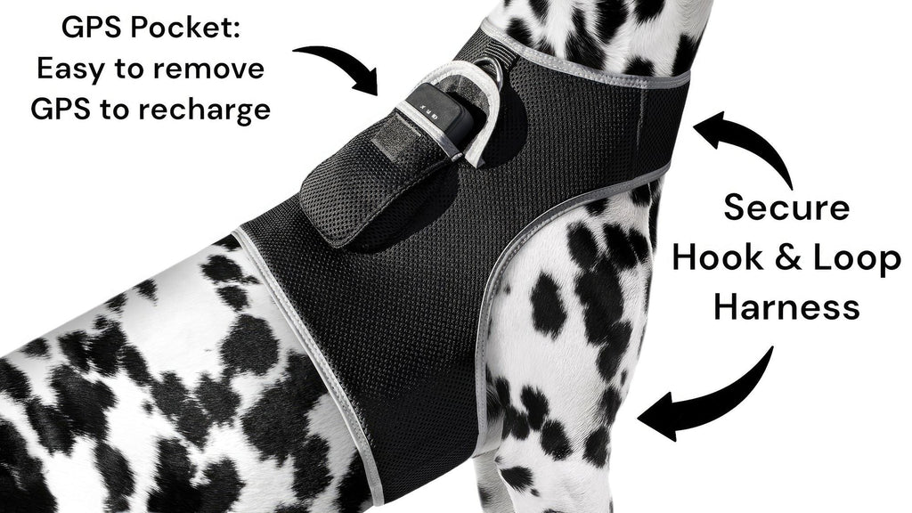 Pet Realtime Surveillance w/ Pet Tracker GPS Tracking Chip for Dogs + App Size:M