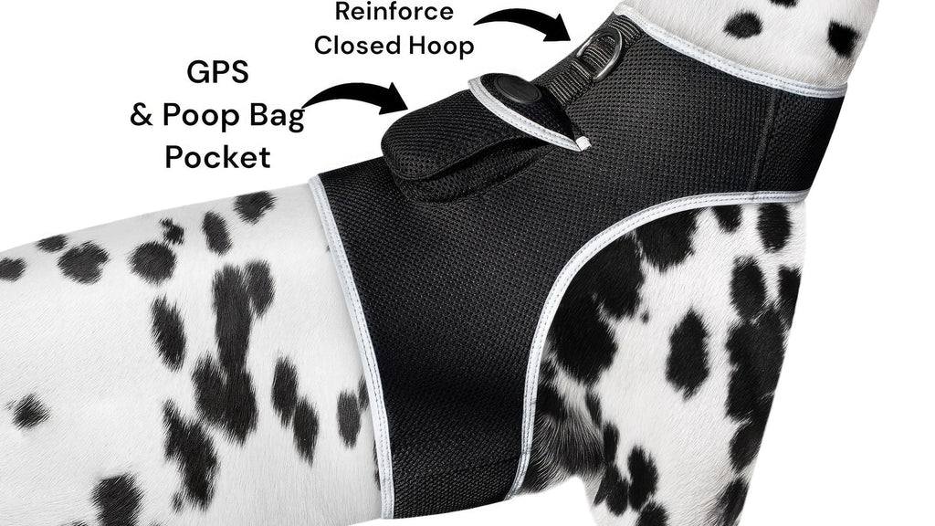 GPS Rechargeable Tracking Device for Pets Realtime Surveillance System Size:XXL