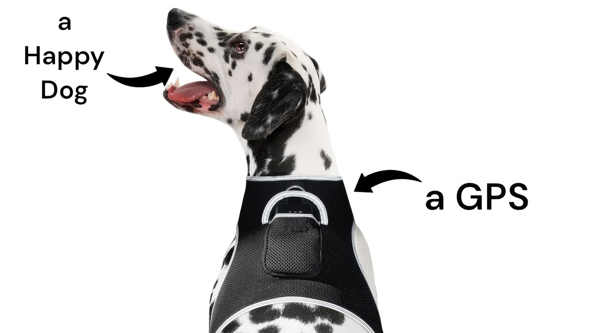 Consistent Realtime Mini Cat Dog GPS Tracking Collar Waterproof Device Size:L