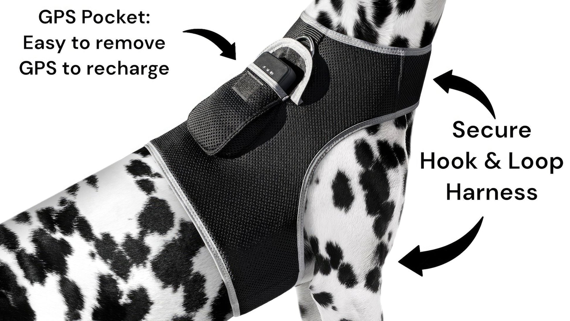 GPS Rechargeable Tracking Device for Pets Realtime Surveillance System Size:XXL