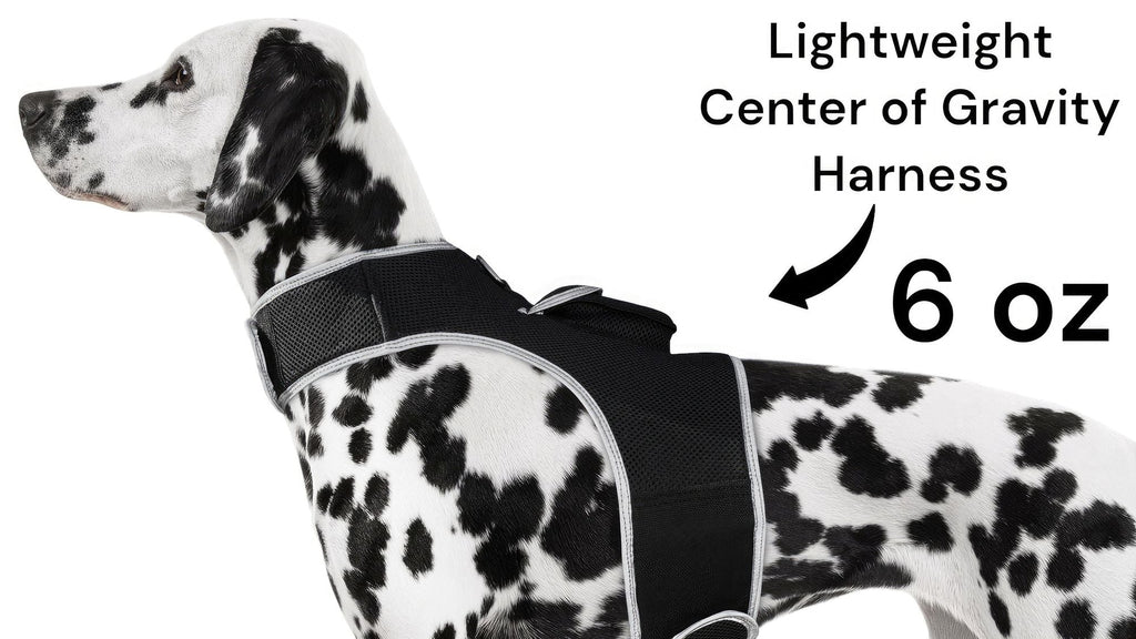 Consistent Realtime Mini Cat Dog GPS Tracking Collar Waterproof Device Size:L