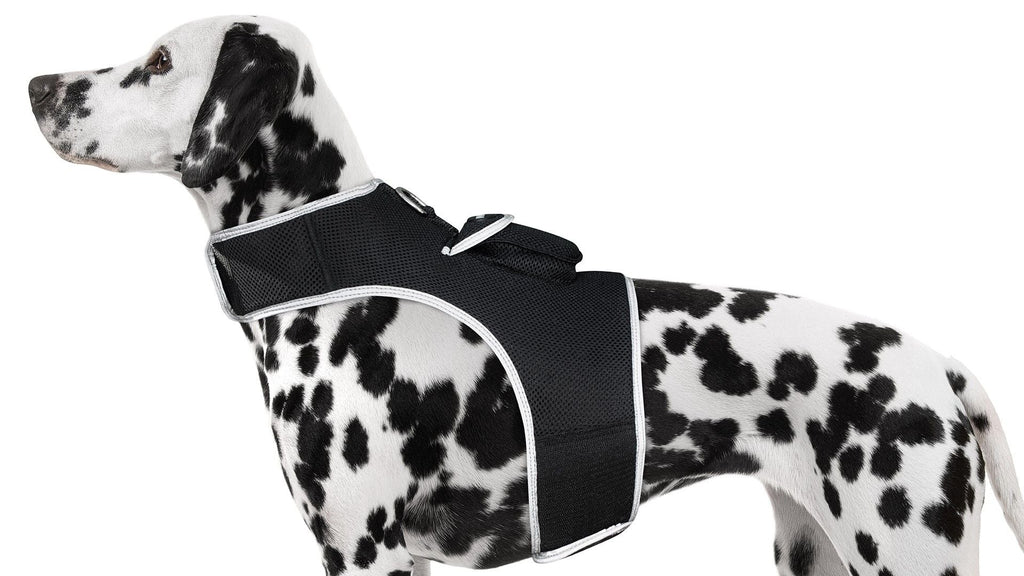 Pet Realtime Surveillance w/ Pet Tracker GPS Tracking Chip for Dogs + App Size:M