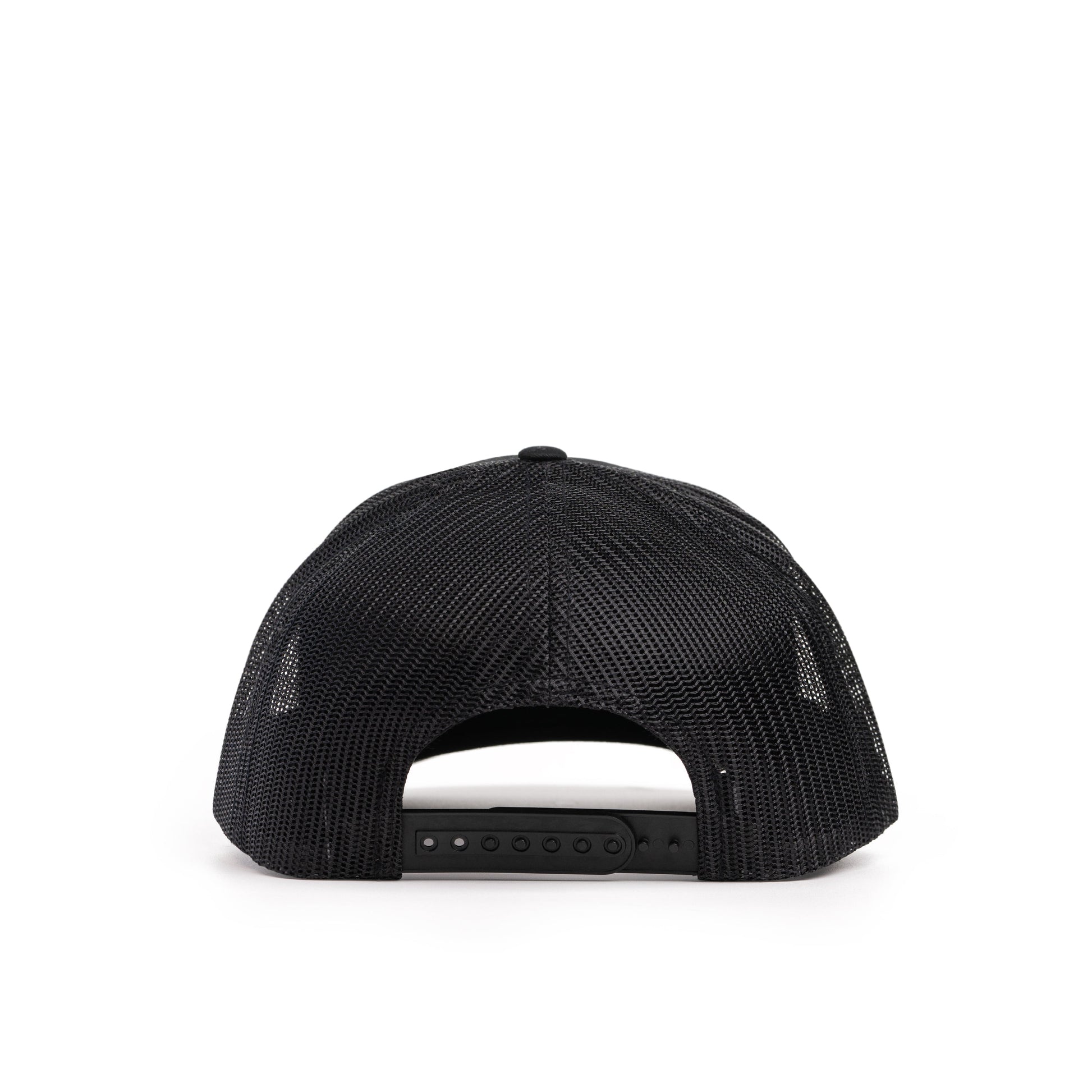 Largemouth Bass Patch Hat