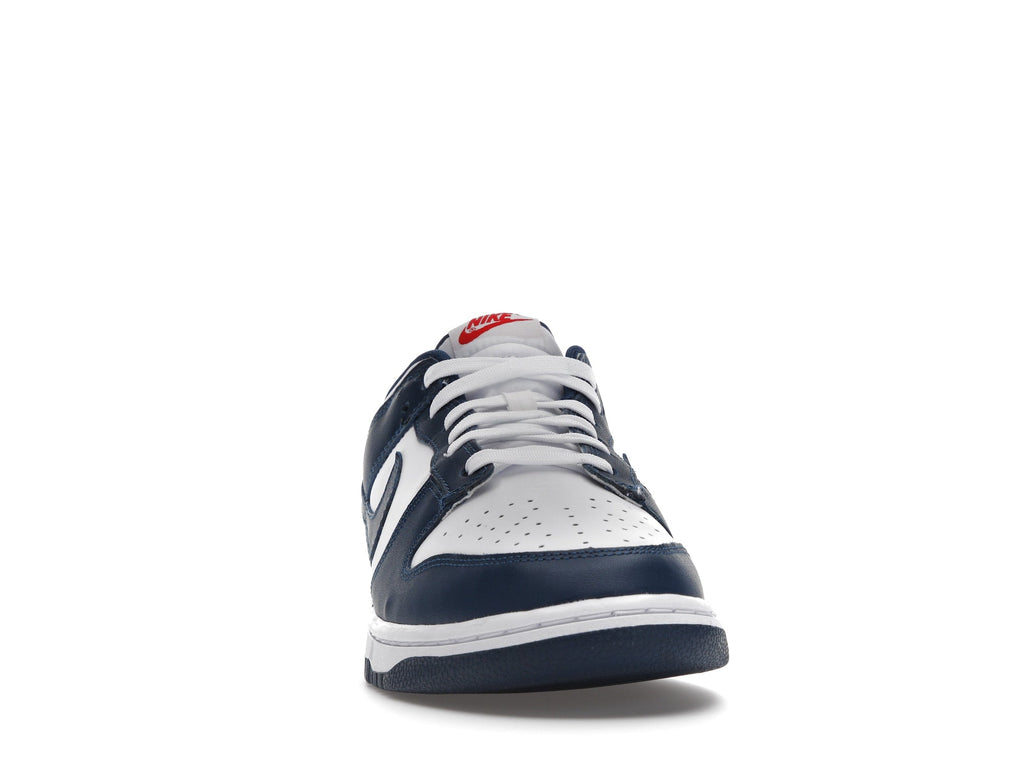 Nike Dunk Low "Valerian Blue"