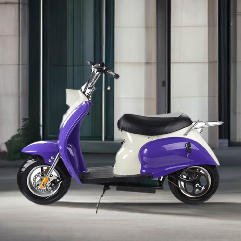 MotoTec EM 24V/12AH 350W Kids Electric Ride-On Scooter (SAK43618)