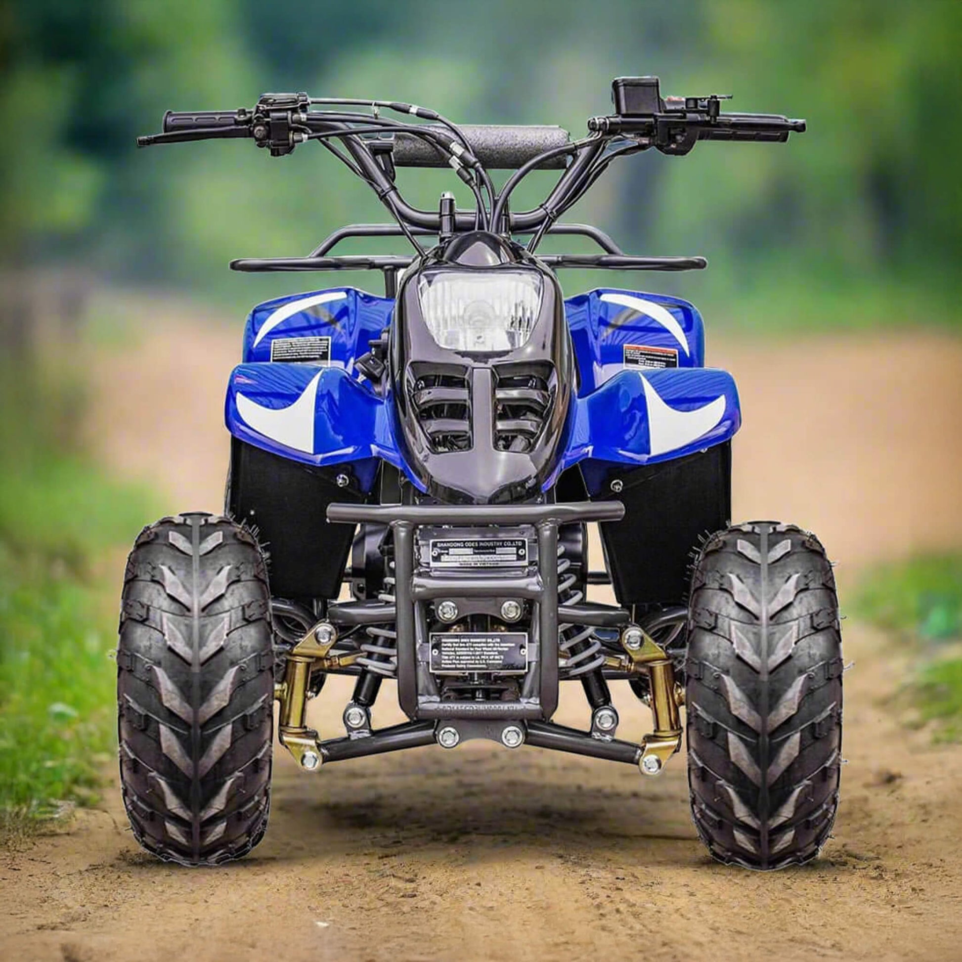 MotoTec Rex 110CC 4-Stroke Mini Kids 4 Wheeler Gas ATV Quad, Blue (SAK78052)