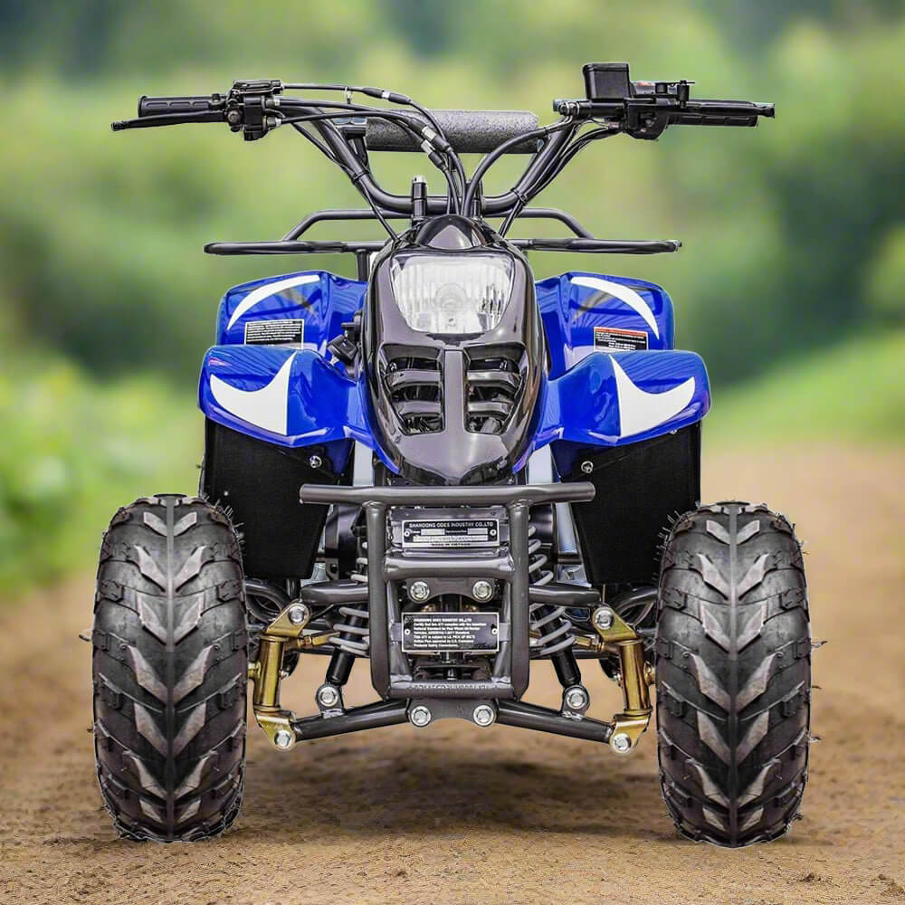 MotoTec Rex 110CC 4-Stroke Mini Kids 4 Wheeler Gas ATV Quad, Blue (SAK78052)