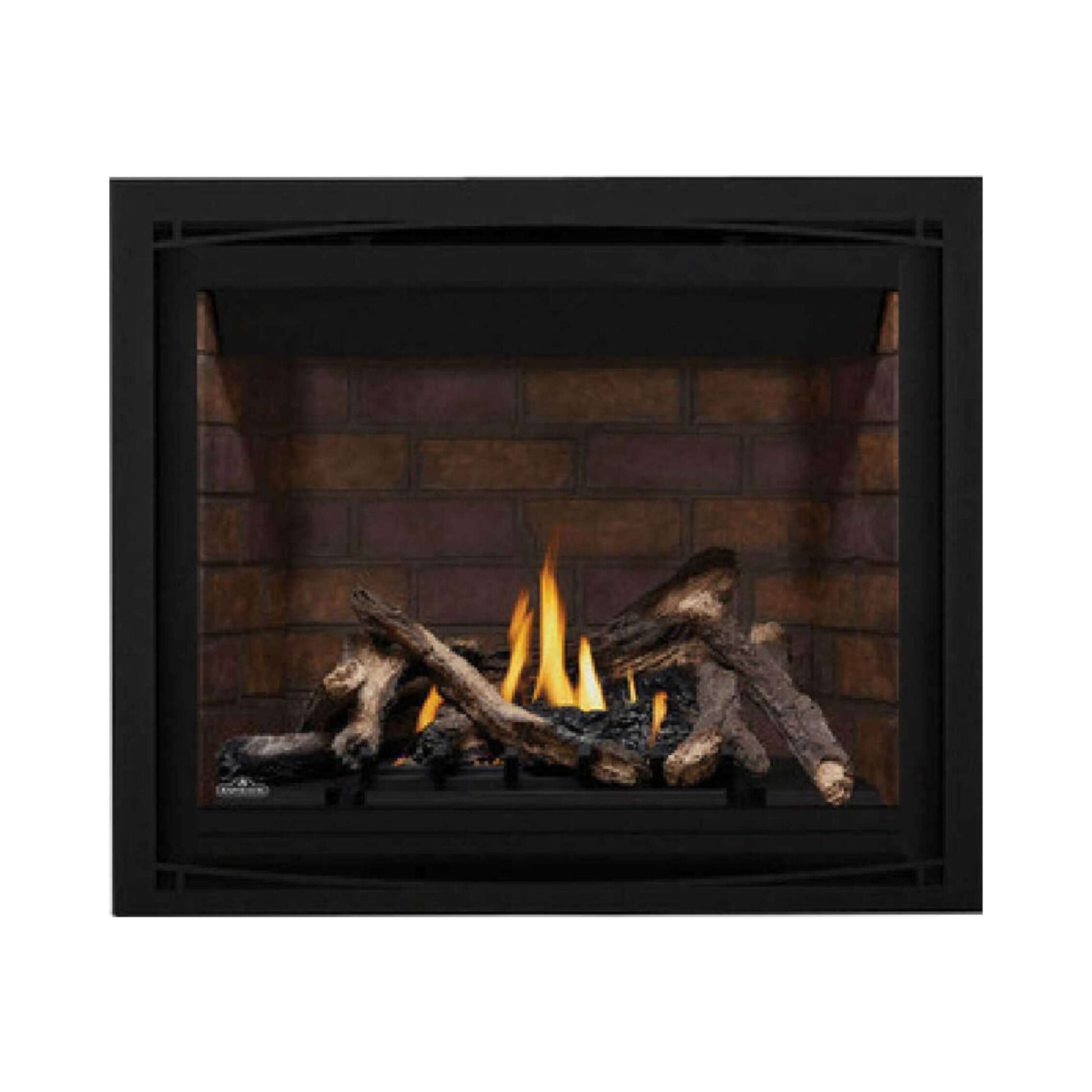 Napoleon Altitude X Direct Vent 42-Inch Propane Fireplace [AX42PTE-1] (SAK72948)