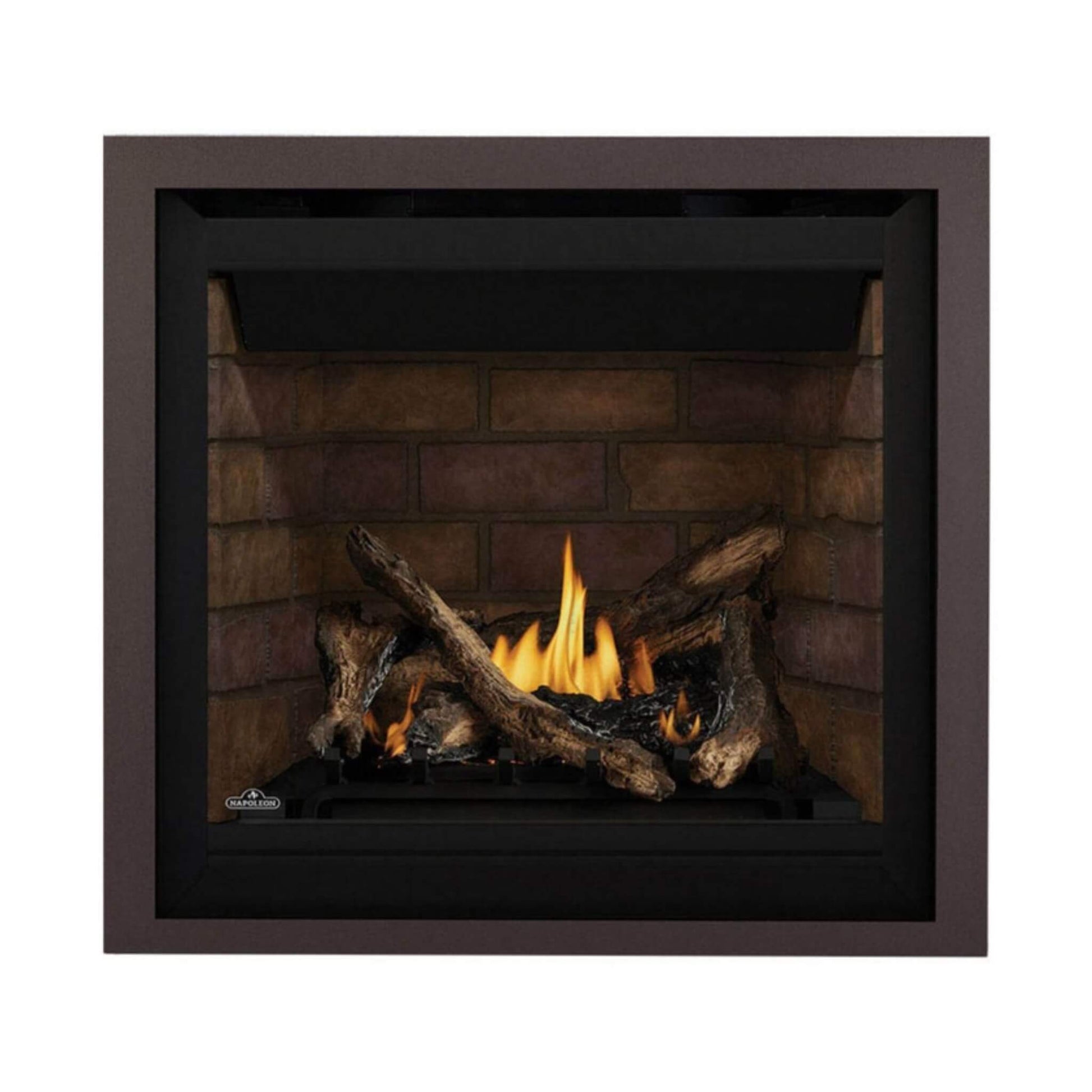Napoleon Altitude X Direct Vent 42-Inch Propane Fireplace [AX42PTE-1] (SAK72948)