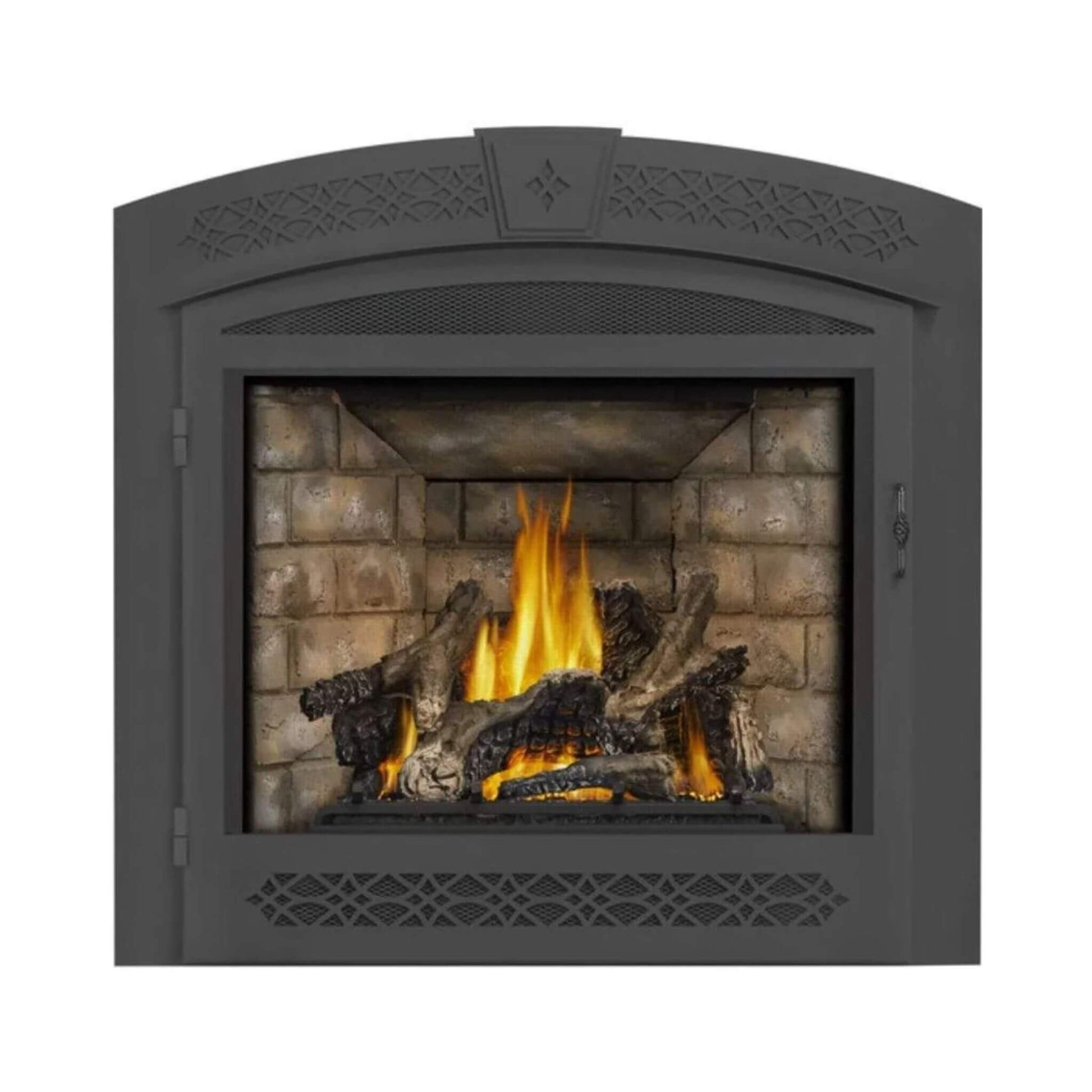 Napoleon Ascent 70 35-Inch Direct Vent Electronic Ignition Fireplace [GX70PTE/NTE-1] (SAK14829)