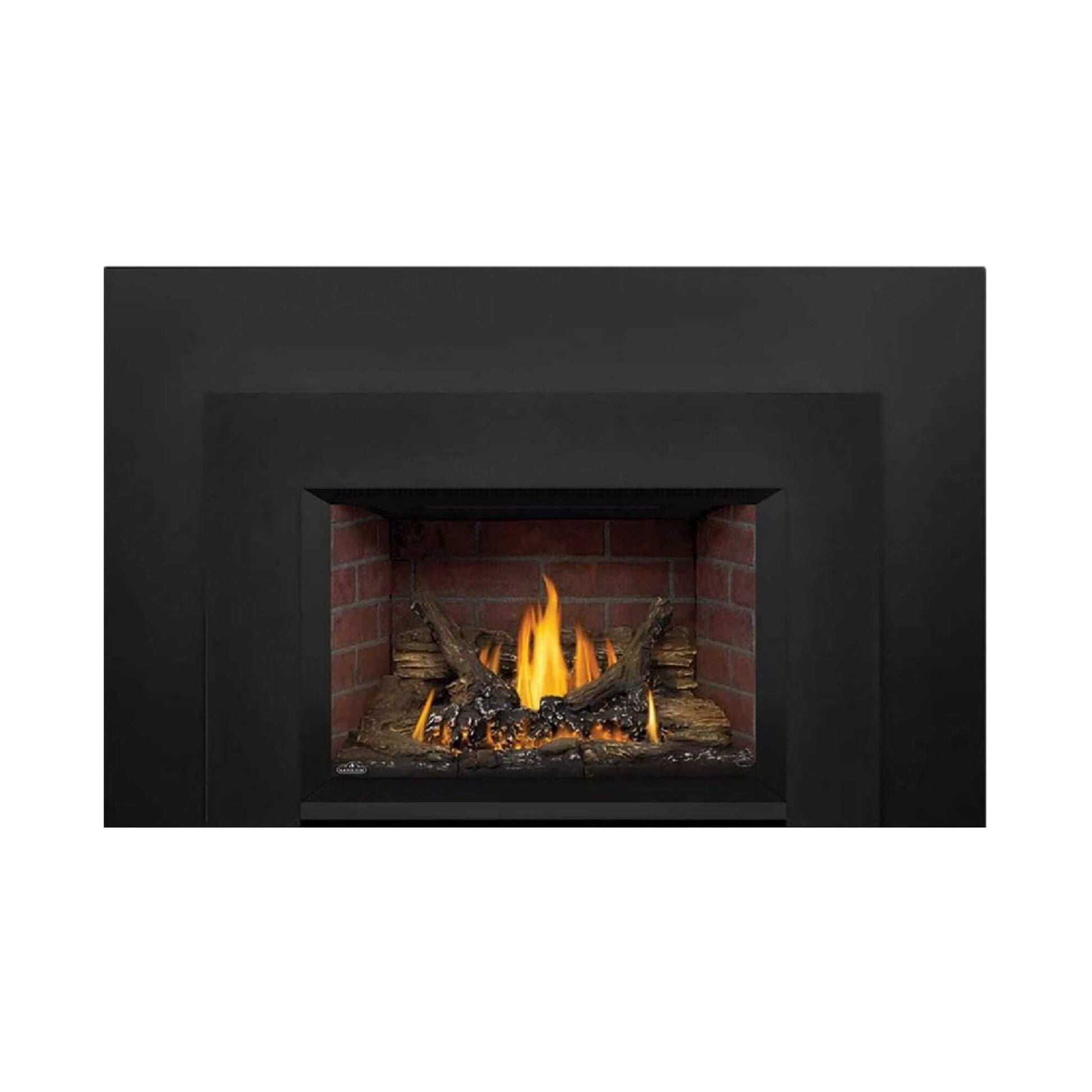 Napoleon Oakville 3 Direct Vent Electronic Ignition Natural Gas Fireplace Insert [GDI3NEA] (SAK82316)