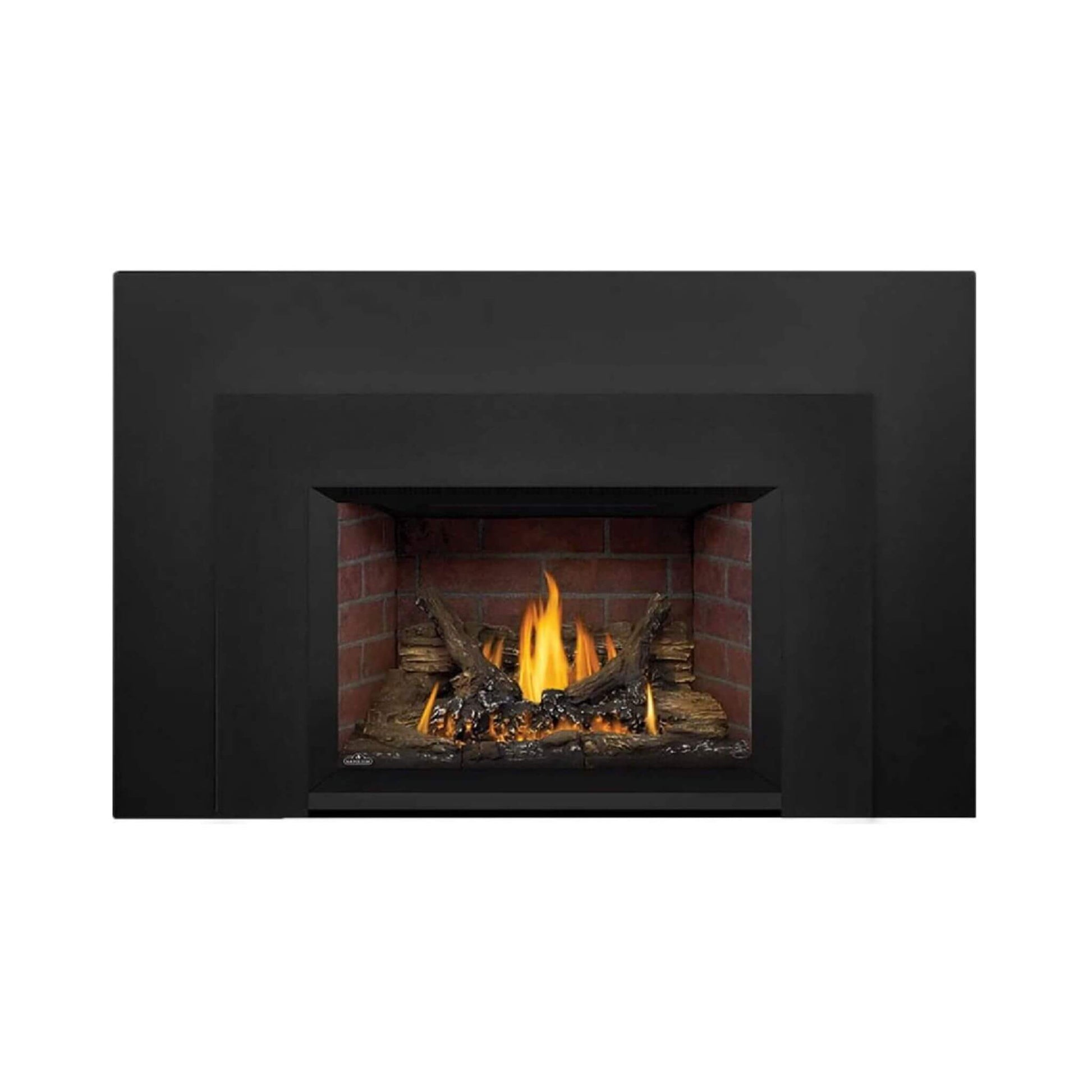 Napoleon Oakville 3 28-Inch Direct Vent Natural Gas Fireplace Insert [GDI3N-1] (SAK25498)