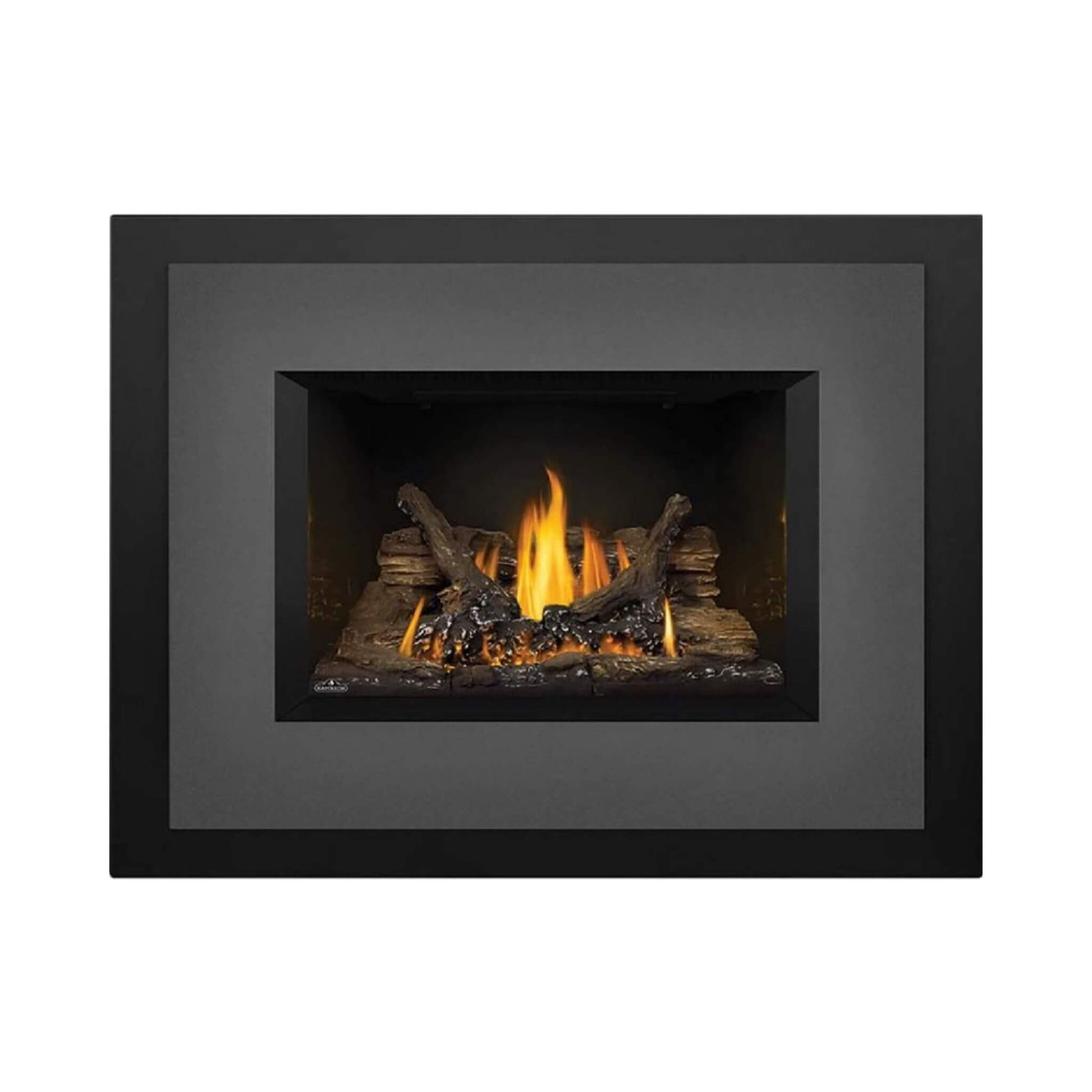Napoleon Oakville 3 28-Inch Direct Vent Natural Gas Fireplace Insert [GDI3N-1] (SAK25498)