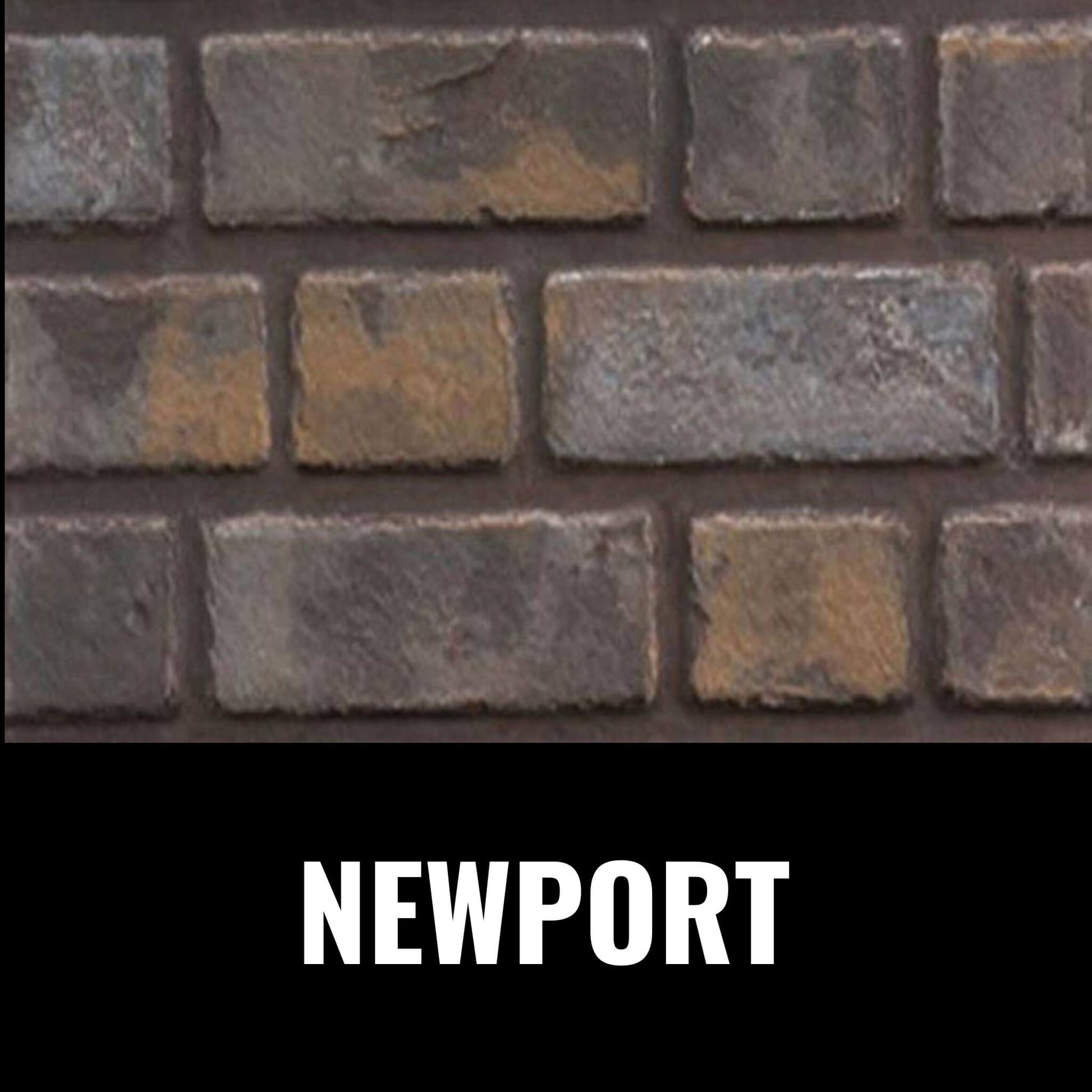 Napoleon Oakville 3 28-Inch Direct Vent Natural Gas Fireplace Insert [GDI3N-1] (SAK25498)
