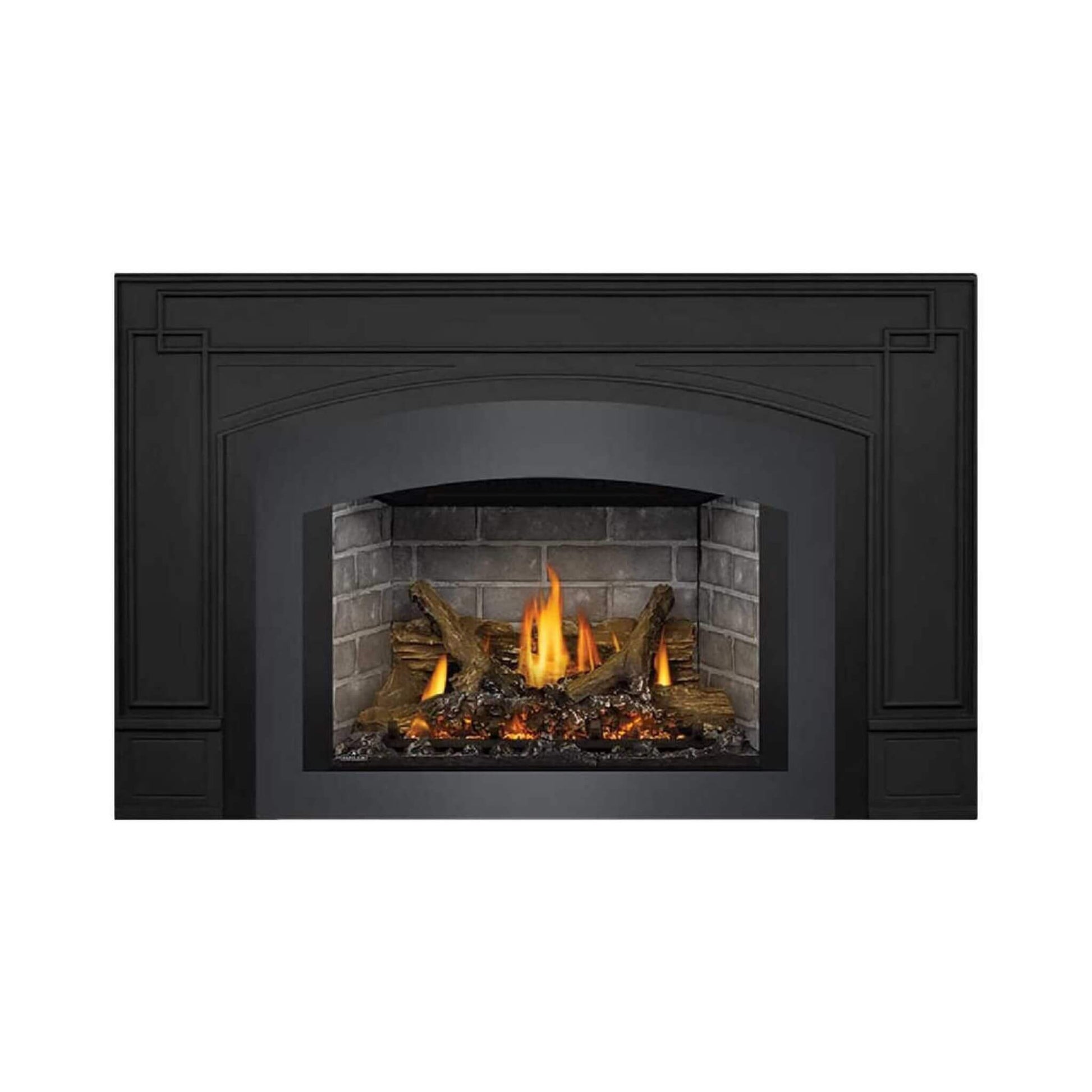 Napoleon Oakville X3/X4 Direct Vent Electronic Ignition Natural Gas Fireplace Insert [GDIX3N/4N-1] (SAK21347)