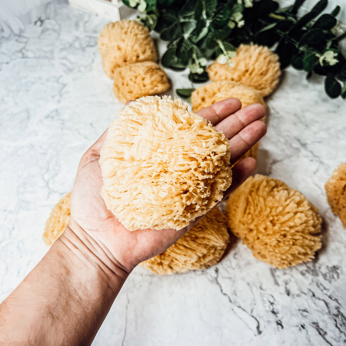 Dead Sea Natural Bath Sponge 3-4 Inch Exfoliating Cleansing Soft Skin