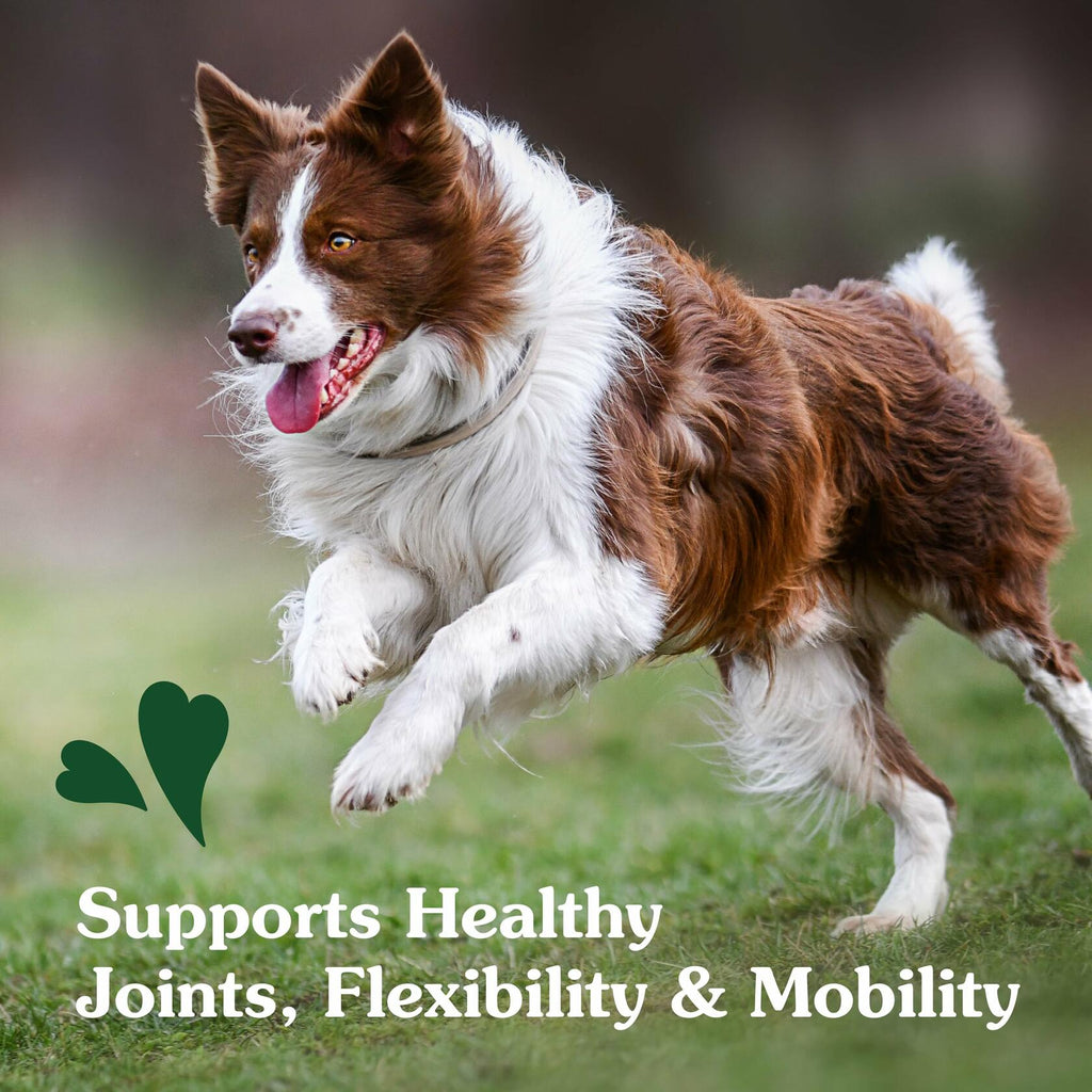 2/25 Greenies Supplements Hip and Joint Supplements for Dogs, Chicken Flavor,