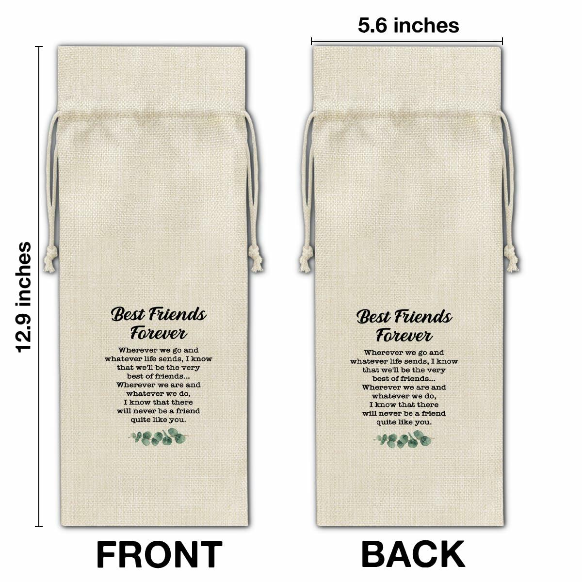 Best Friends Forever Wine Gift Bag Friendship Gift for Women Men