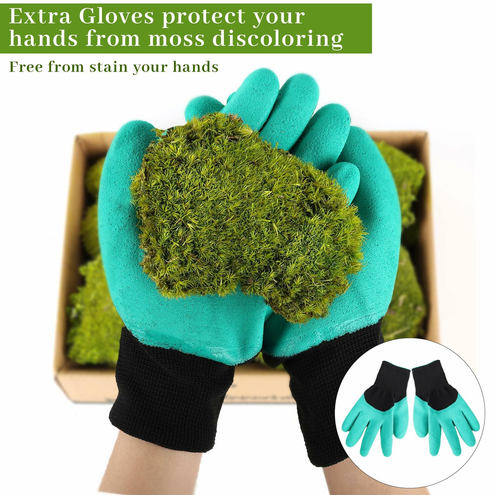 Preserved Reindeer Moss 1.8 sq Ft Natural Yellow-Green Moss for Decor