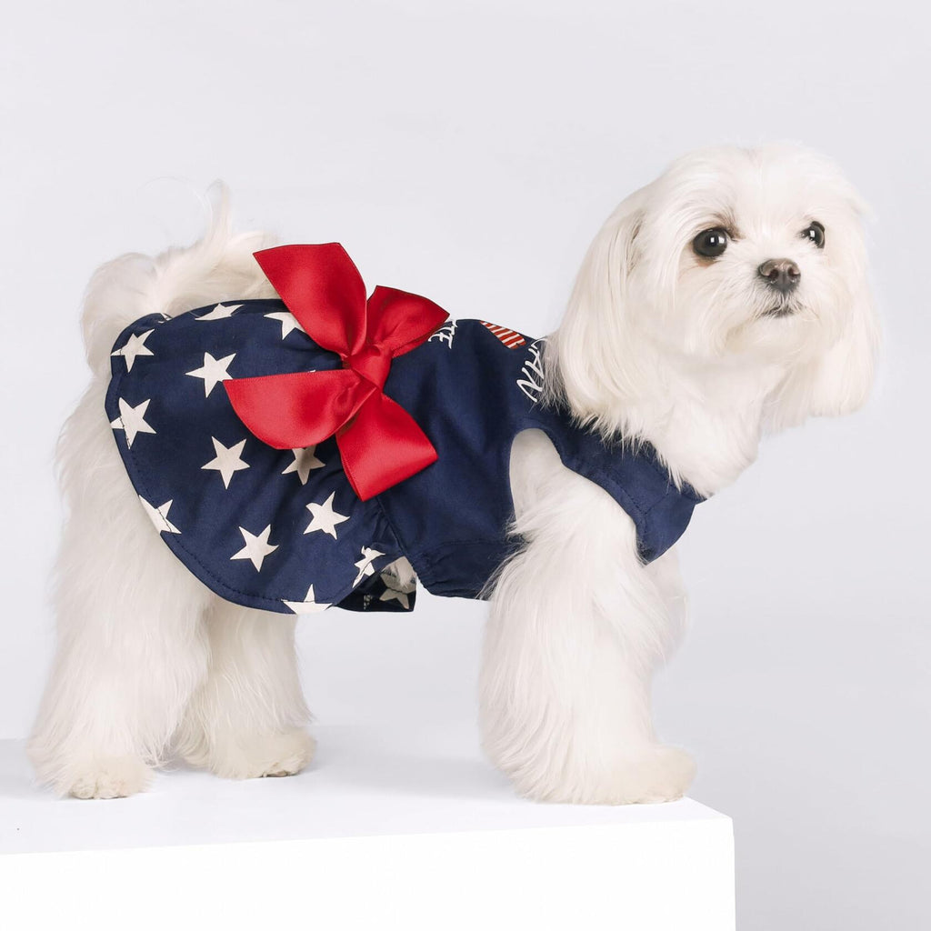Fitwarm 100% Cotton Holiday Make A Wish Dog Dress Black Size XXS