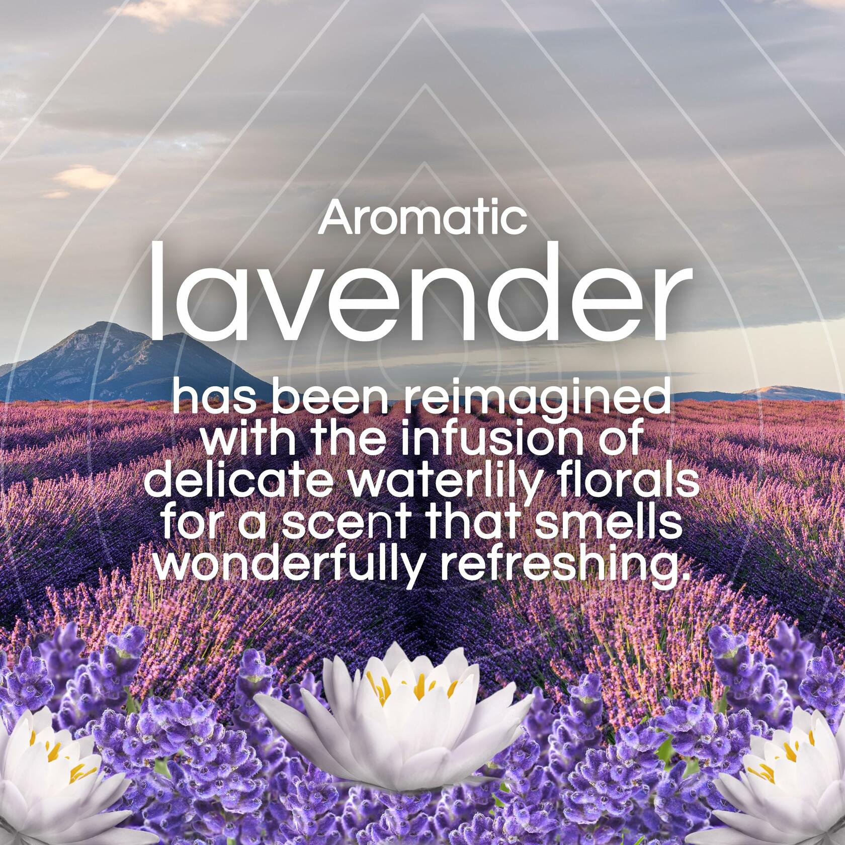 Air Wick Plug in Scented Oil Refill 5ct Lavender & Waterlily Air Freshener