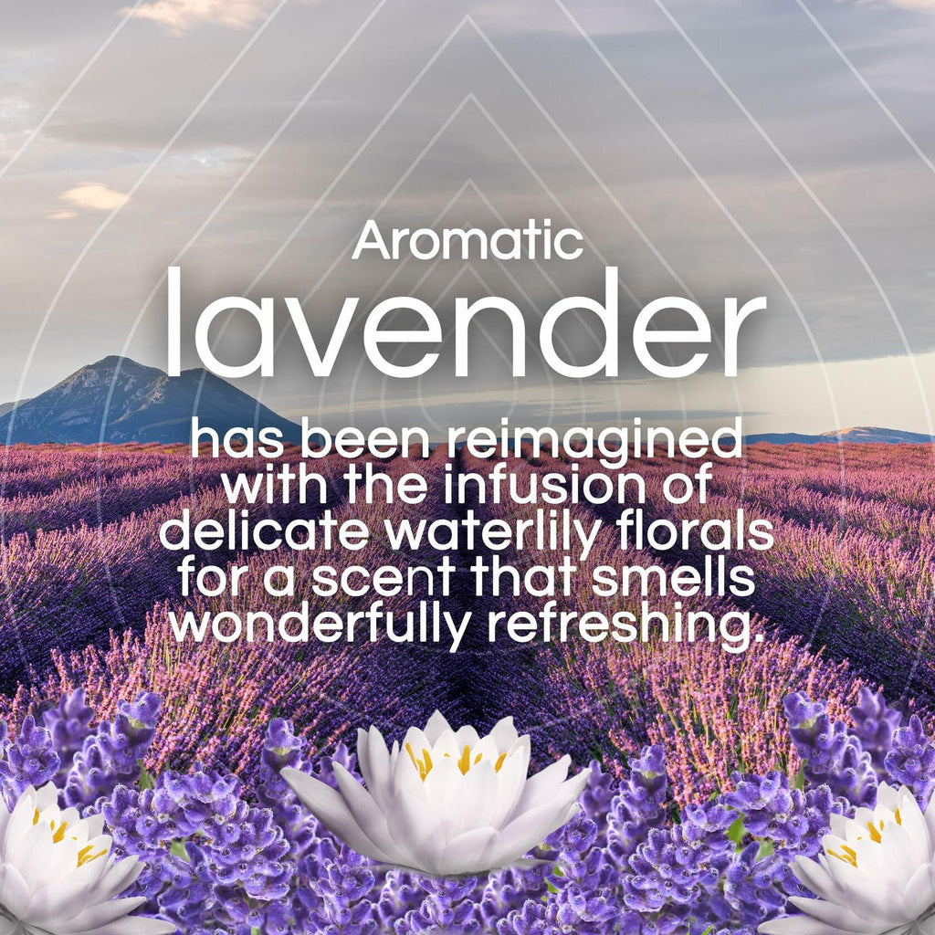 Air Wick Plug in Scented Oil Refill 5ct Lavender & Waterlily Air Freshener