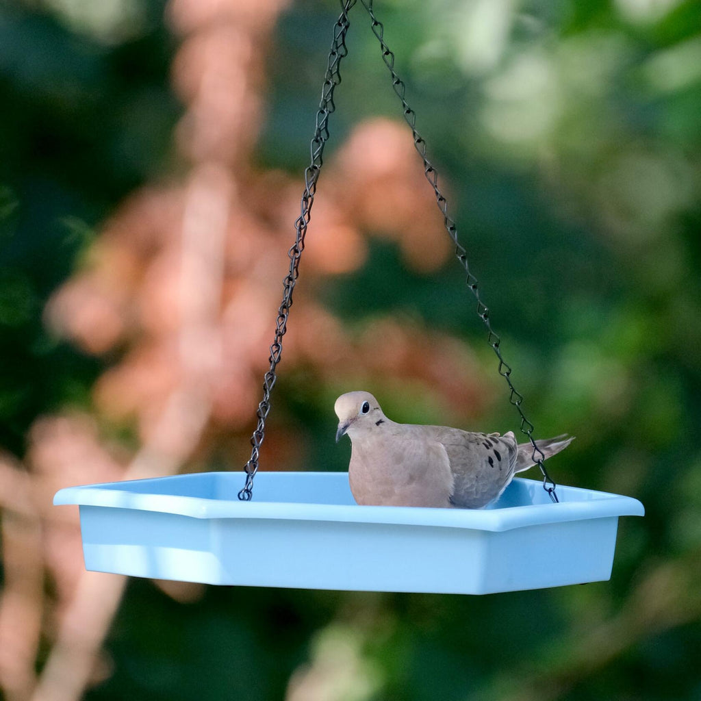 Natures Way RPFT4 EcoCycle Combo Cafe 2in1 Bird Feeder&Bird Bath  Blue  Case of4