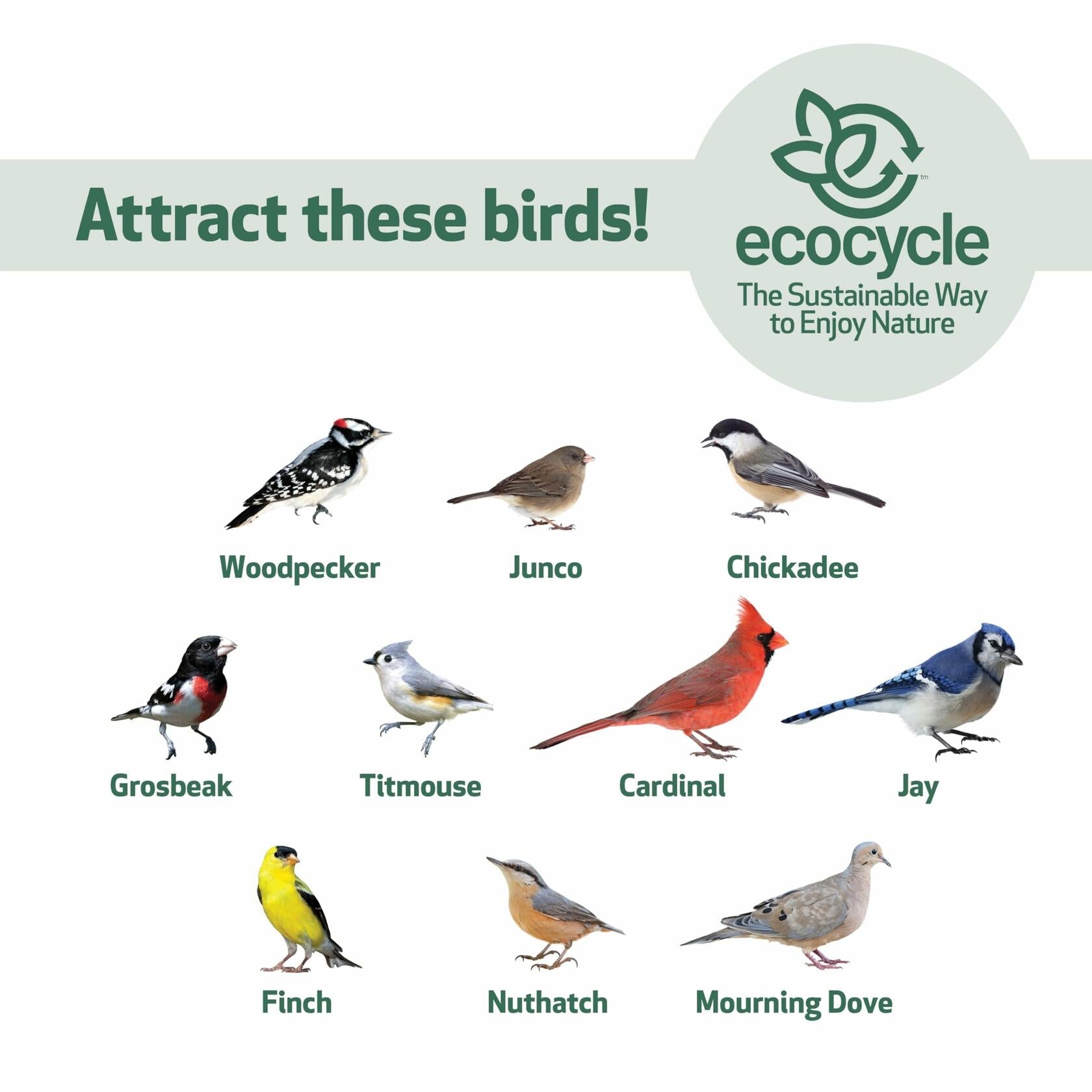Natures Way RPFT4 EcoCycle Combo Cafe 2in1 Bird Feeder&Bird Bath  Blue  Case of4