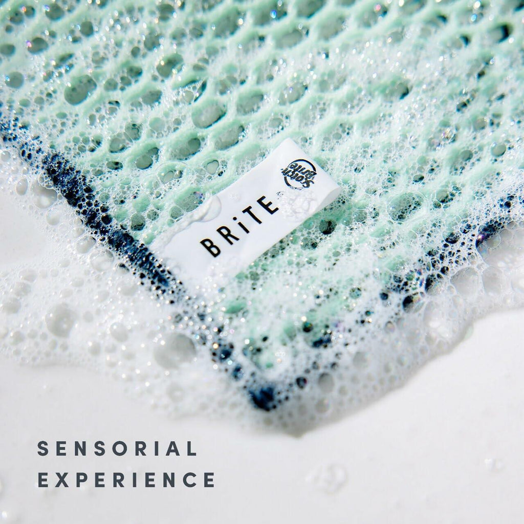 [Like New] Brite by Scotch-Brite 4-Piece Scrub & Wipe Set Multicolor Sponge Scourer