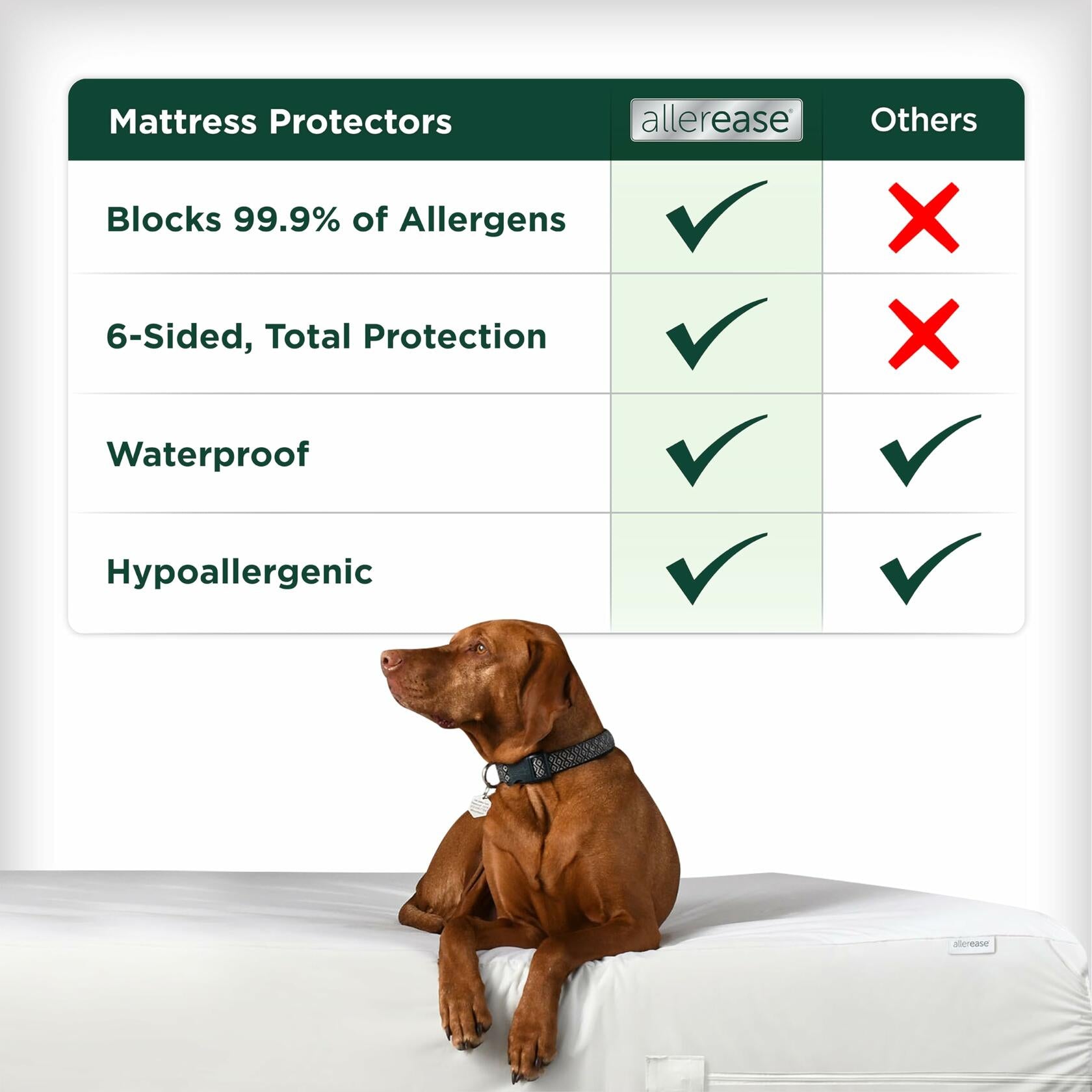 [Like New] AllerEase Cotton Fresh Mattress Protector Waterproof White Queen Size