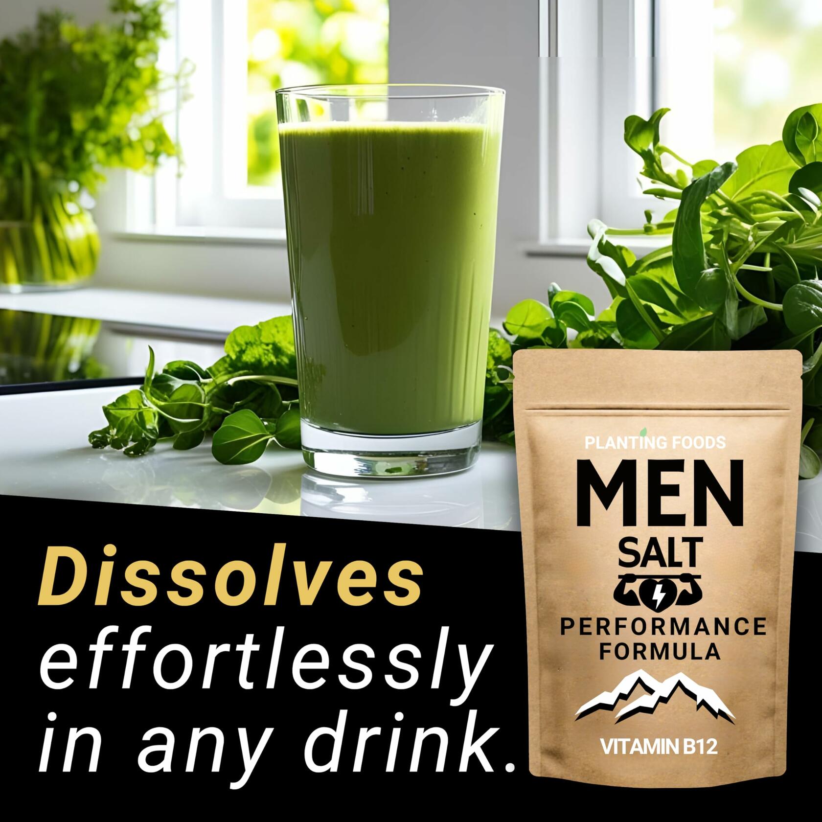 Men’s Salt Performance Formula w/ B12 & Himalayan Minerals 1500+ Servings