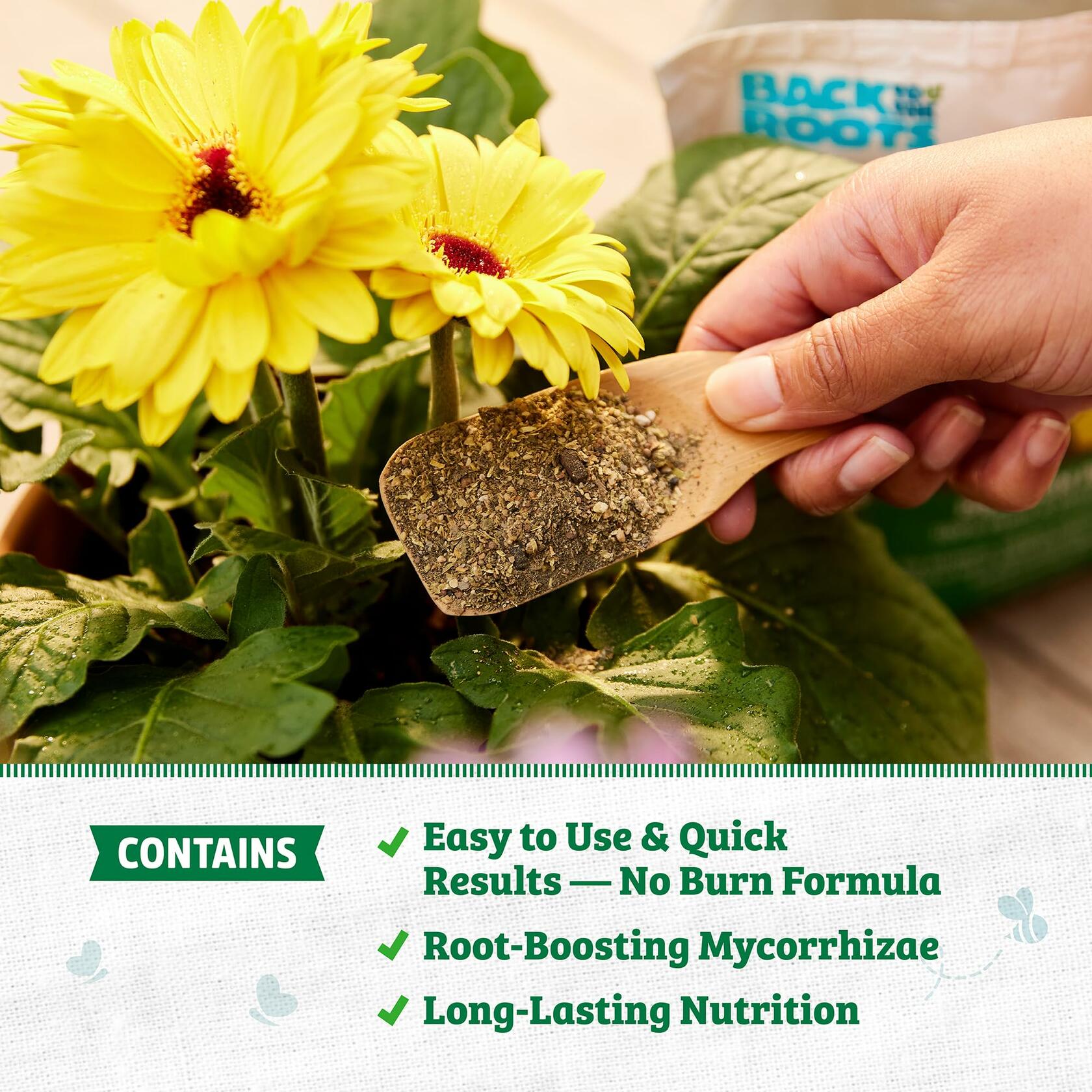 Back to the Roots Organic All-Purpose Plant Food 5 lb Value Size Vegan Blend