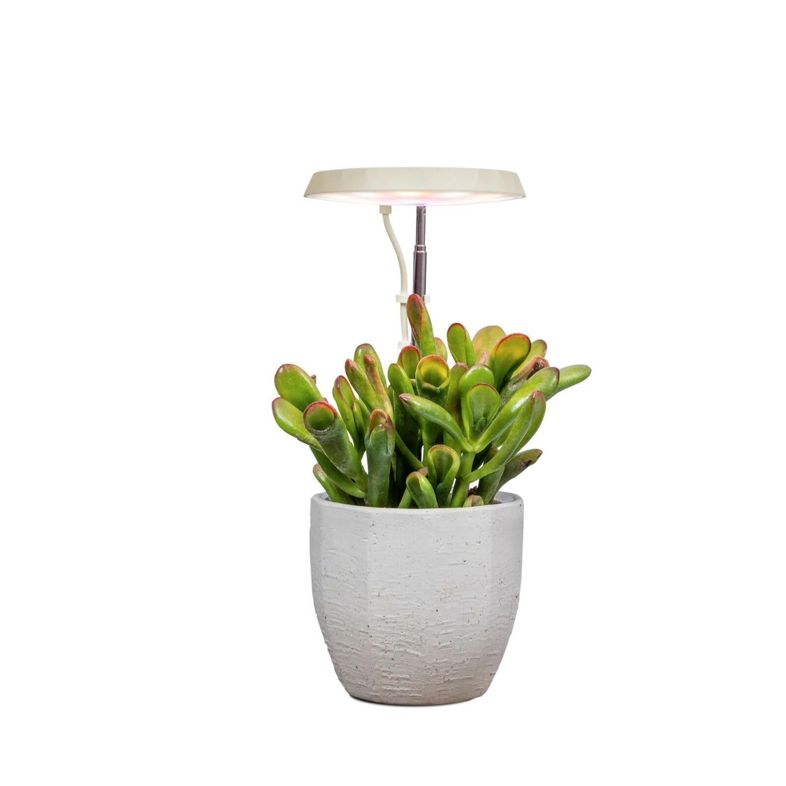 AeroGarden Stem Grow Light Cream White 5.71x4.33x1.30 in MPN 980201-0100