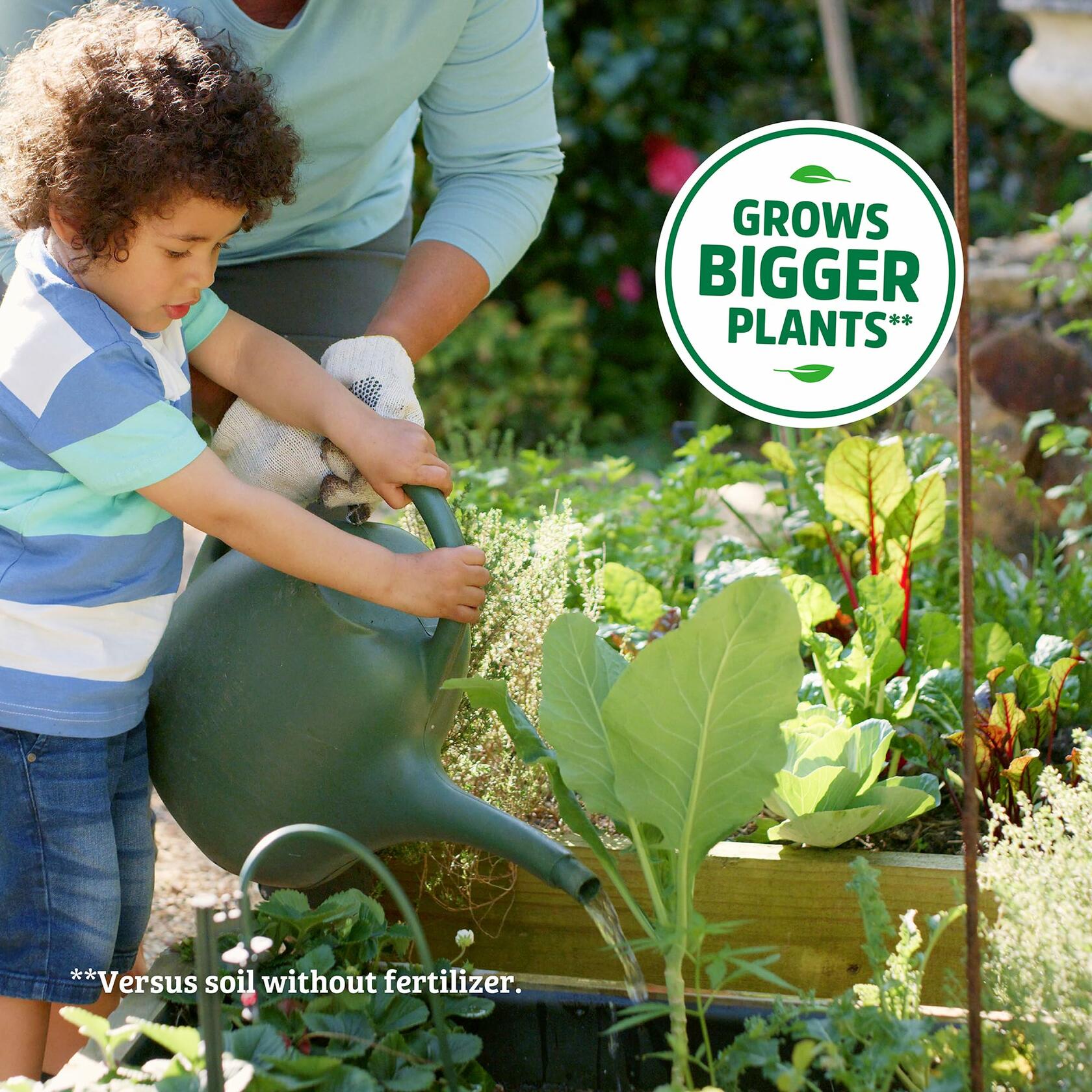 Back to the Roots Organic All-Purpose Plant Food 5 lb Value Size Vegan Blend