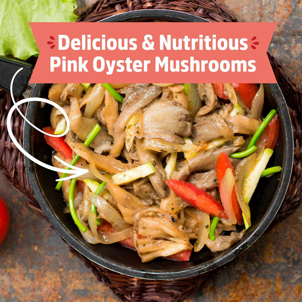 Back to the Roots Organic Pink Miniature Mushroom Grow Kit Harvest 10 Days