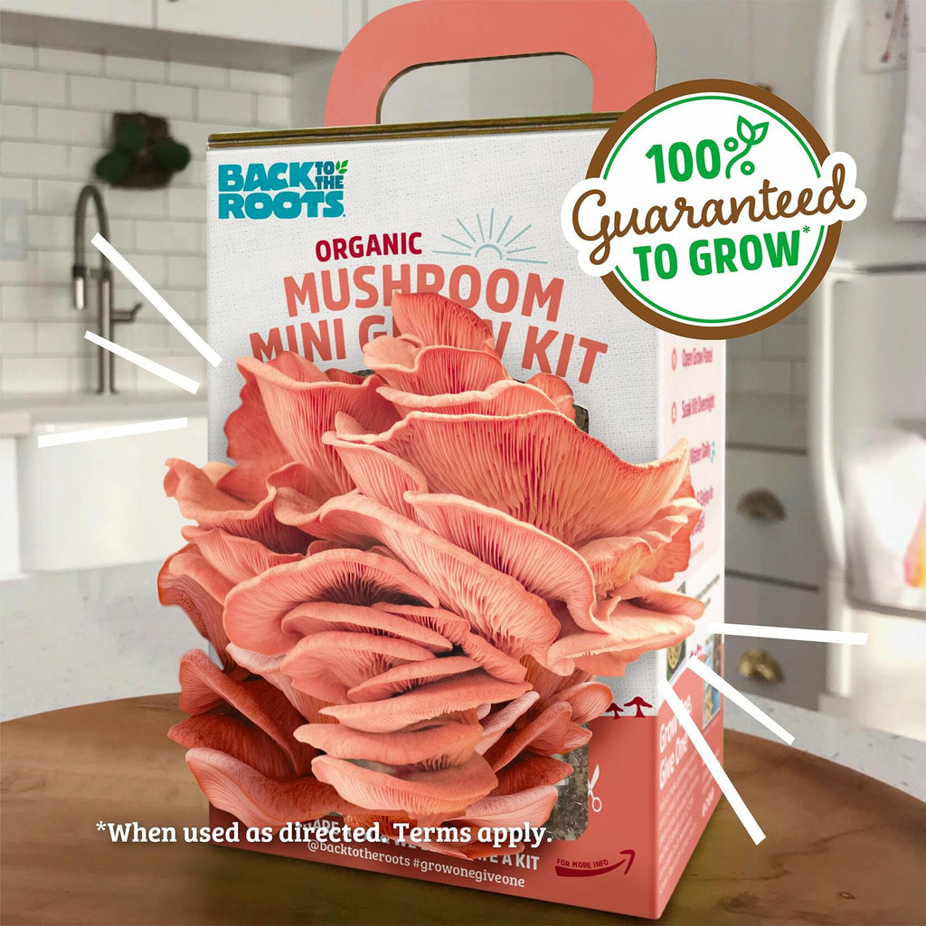 Back to the Roots Organic Pink Miniature Mushroom Grow Kit Harvest 10 Days