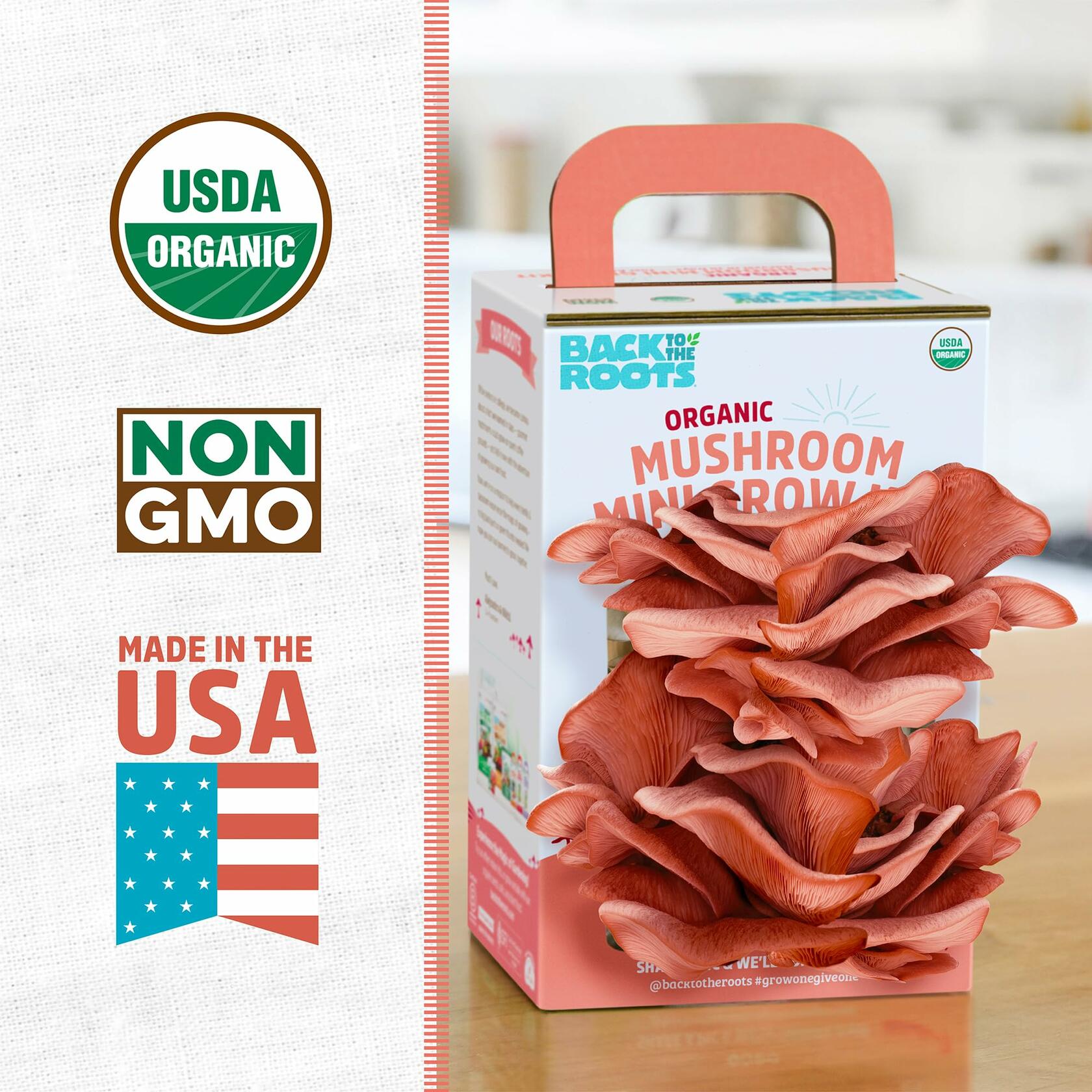 Back to the Roots Organic Pink Miniature Mushroom Grow Kit Harvest 10 Days