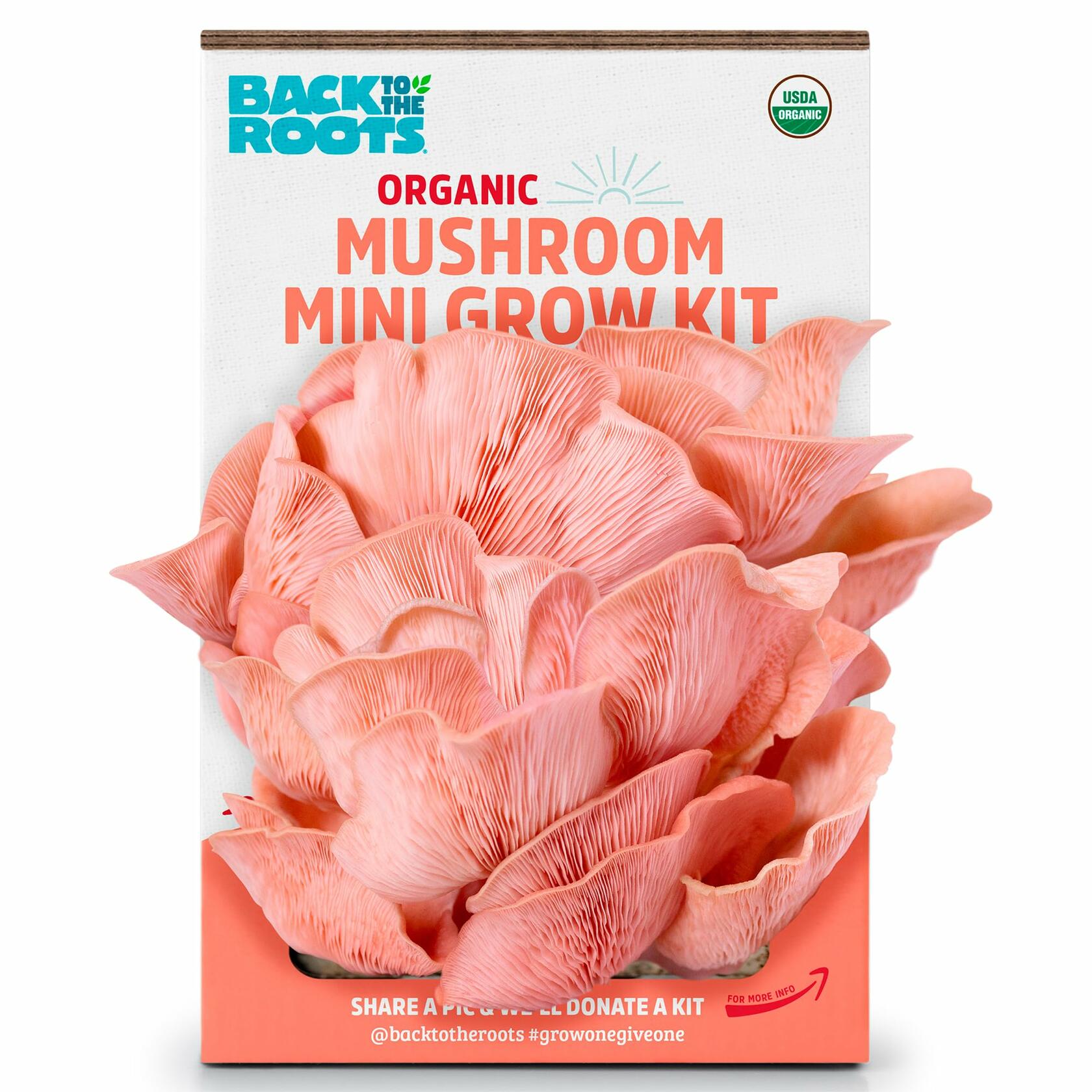 Back to the Roots Organic Pink Miniature Mushroom Grow Kit Harvest 10 Days