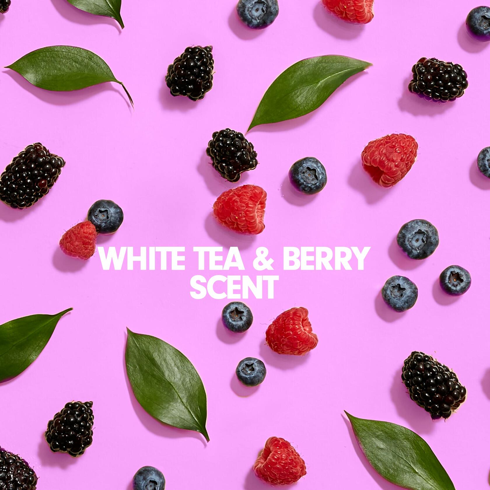 Softsoap Antibacterial Liquid Hand Soap Refill White Tea & Berry 50oz Clear