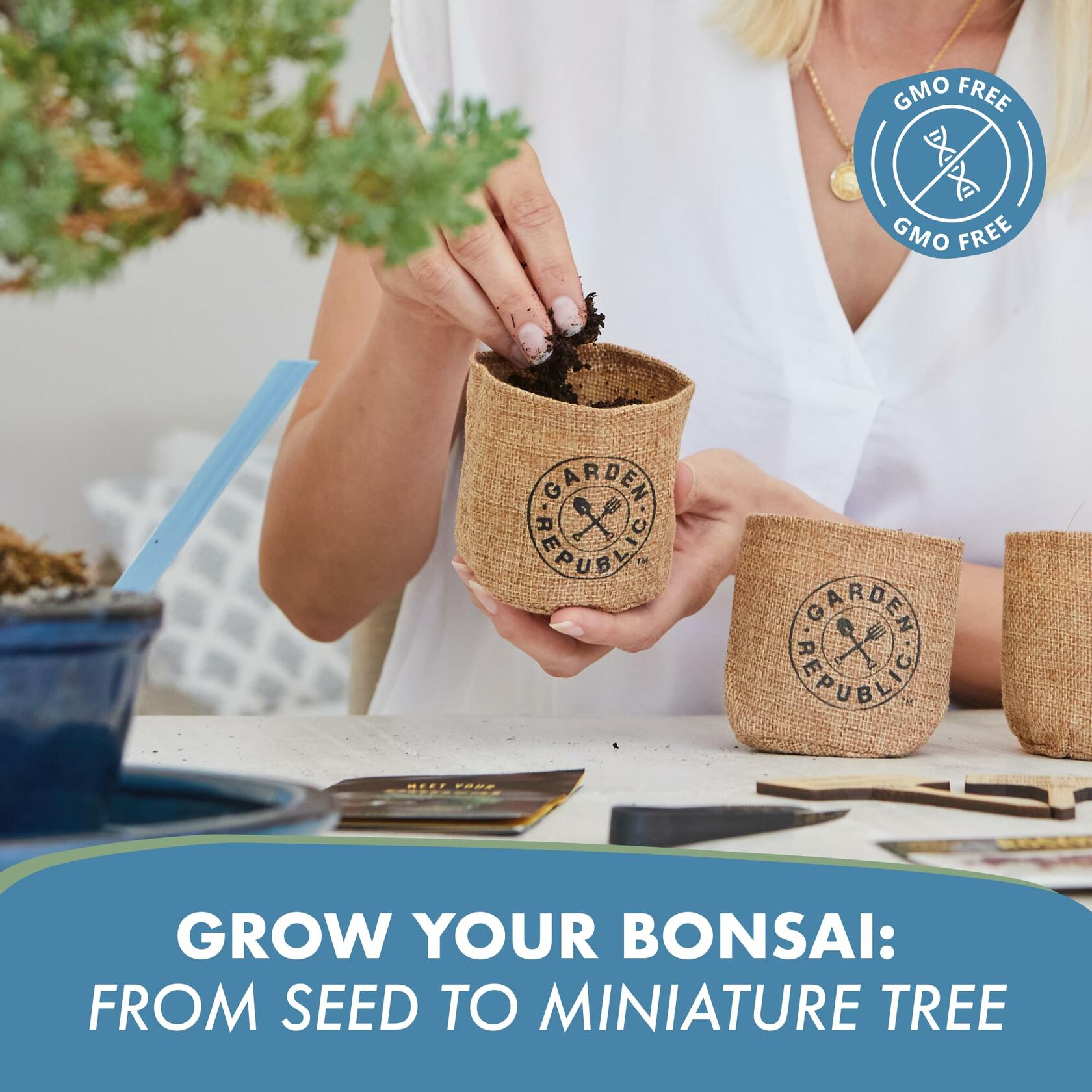 Garden Republic Medium Bonsai Tree Kit Grow 3 Mini Trees Indoor Green Brown