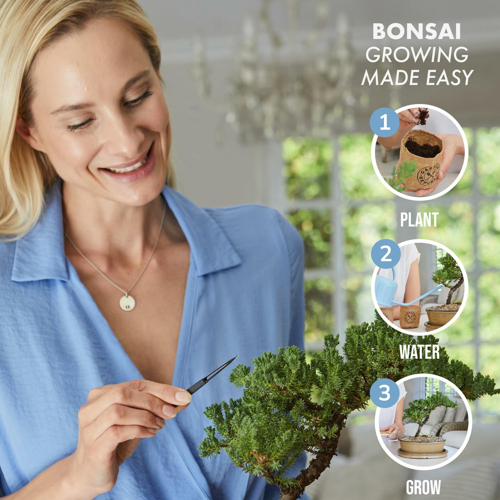Garden Republic Medium Bonsai Tree Kit Grow 3 Mini Trees Indoor Green Brown