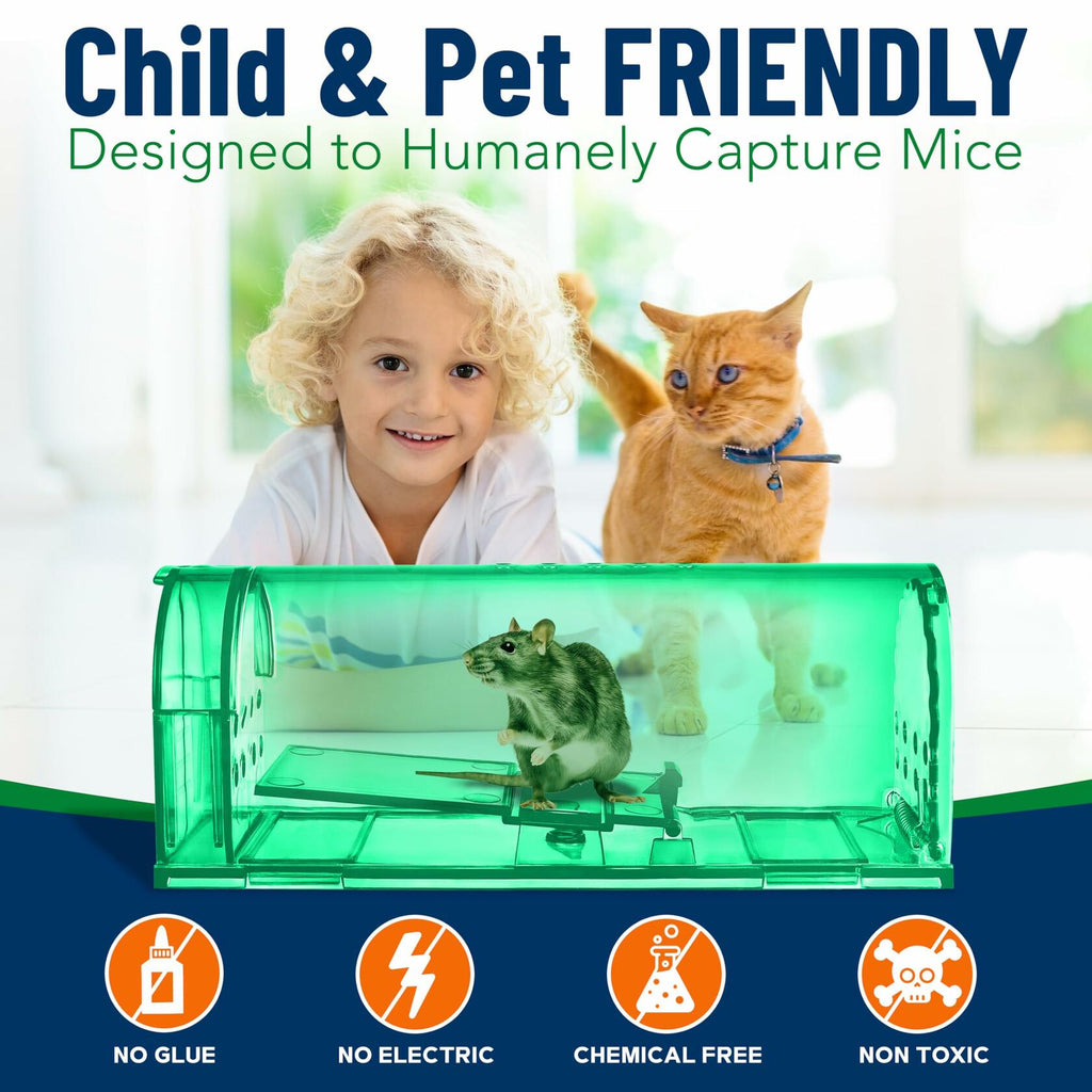 Campior Humane Mouse Trap Large No-Kill Indoor Catch-Release Green 2 Pack