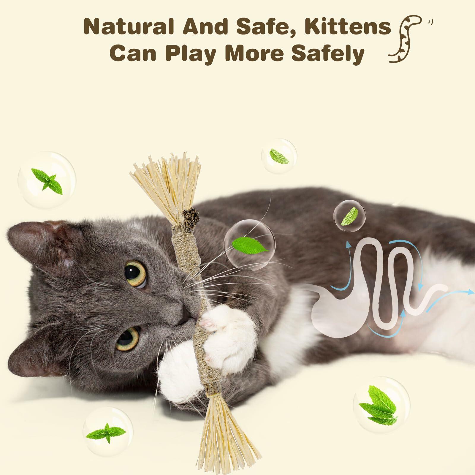 SINROBO 4 Pack Silvervine Cat Chew Sticks Teeth Cleaning Edible Toy