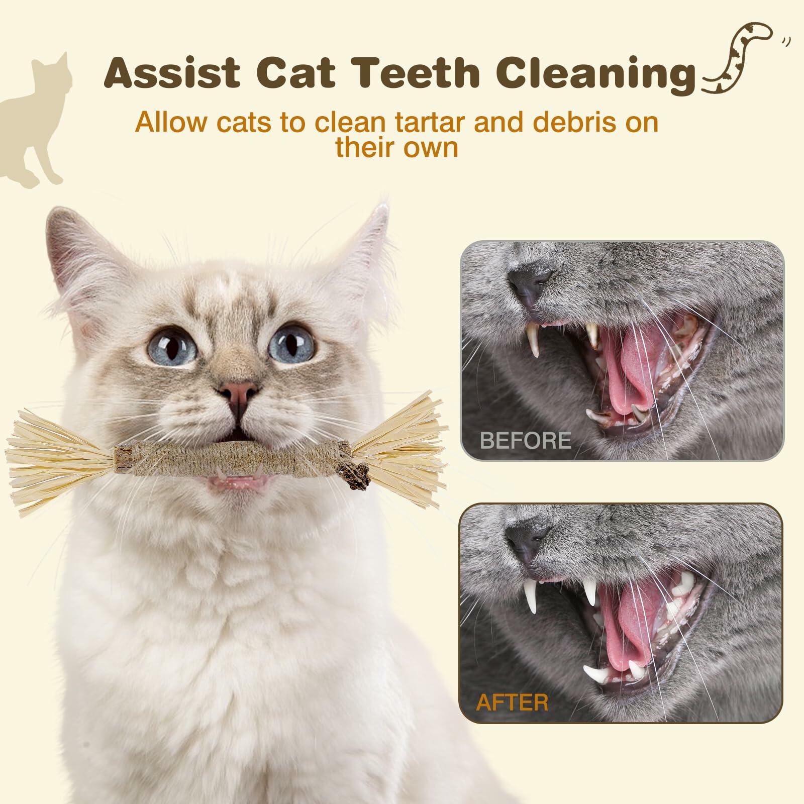 SINROBO 4 Pack Silvervine Cat Chew Sticks Teeth Cleaning Edible Toy