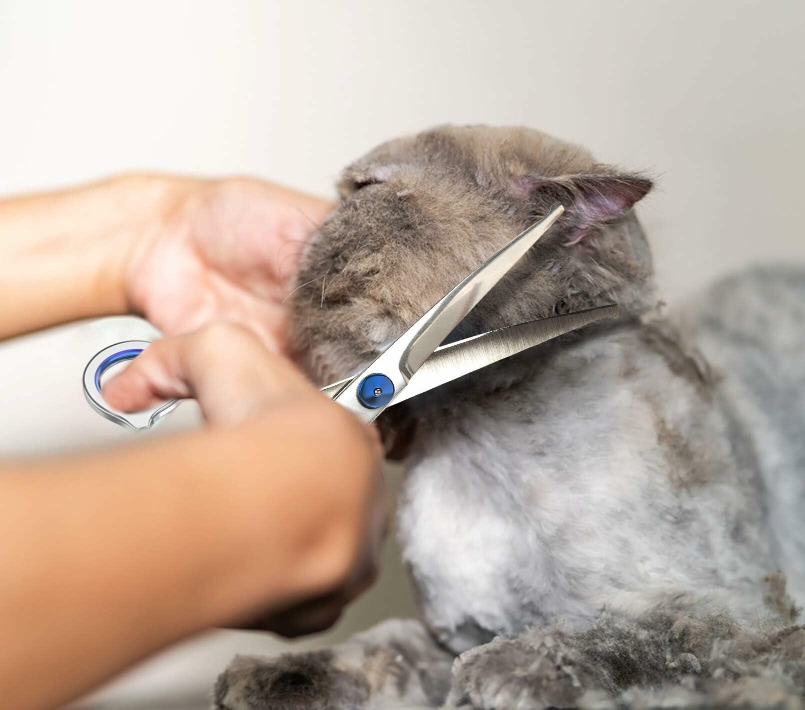 JRVT Pets vv 7.5" Curved Dog Grooming Scissors Stainless Steel Light Weight
