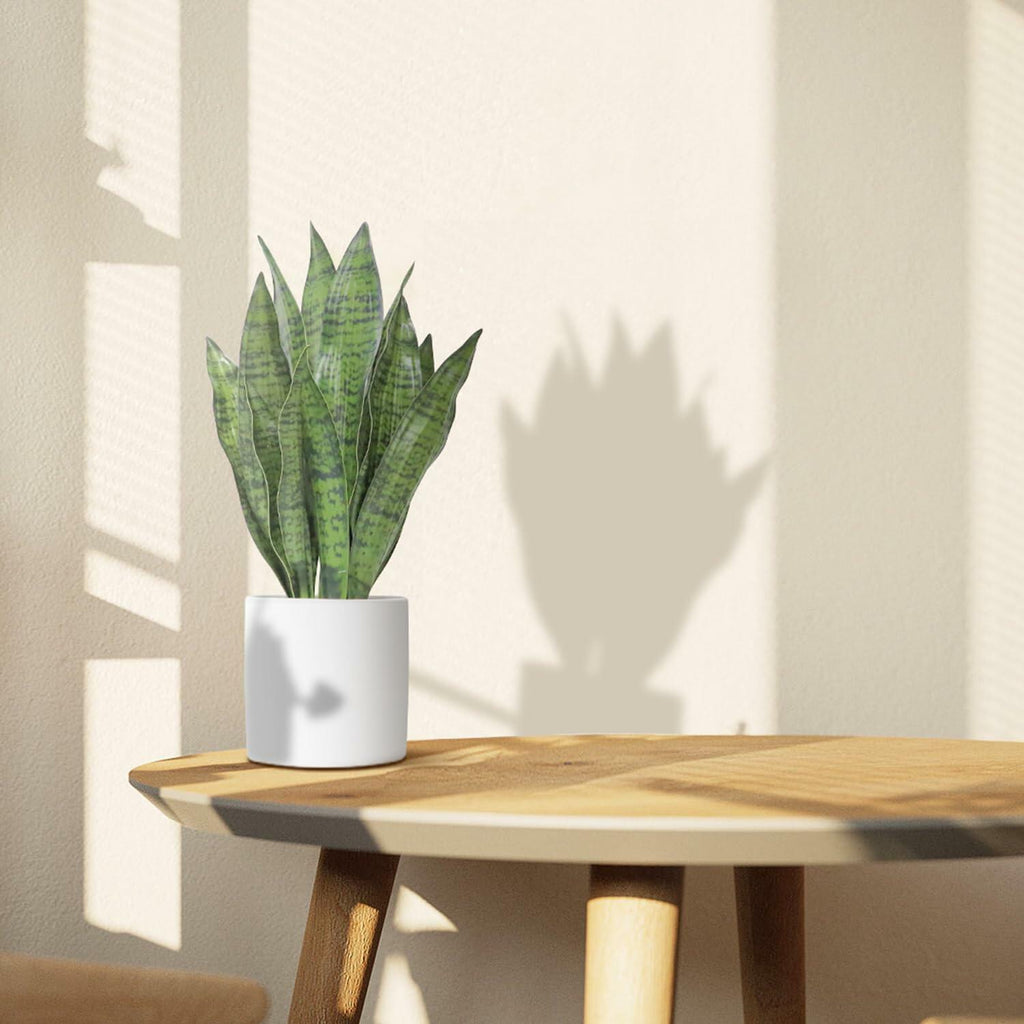 Anewsun Faux Snake Plant Set of 2 with White Ceramic Pots 13.78 Inch Green